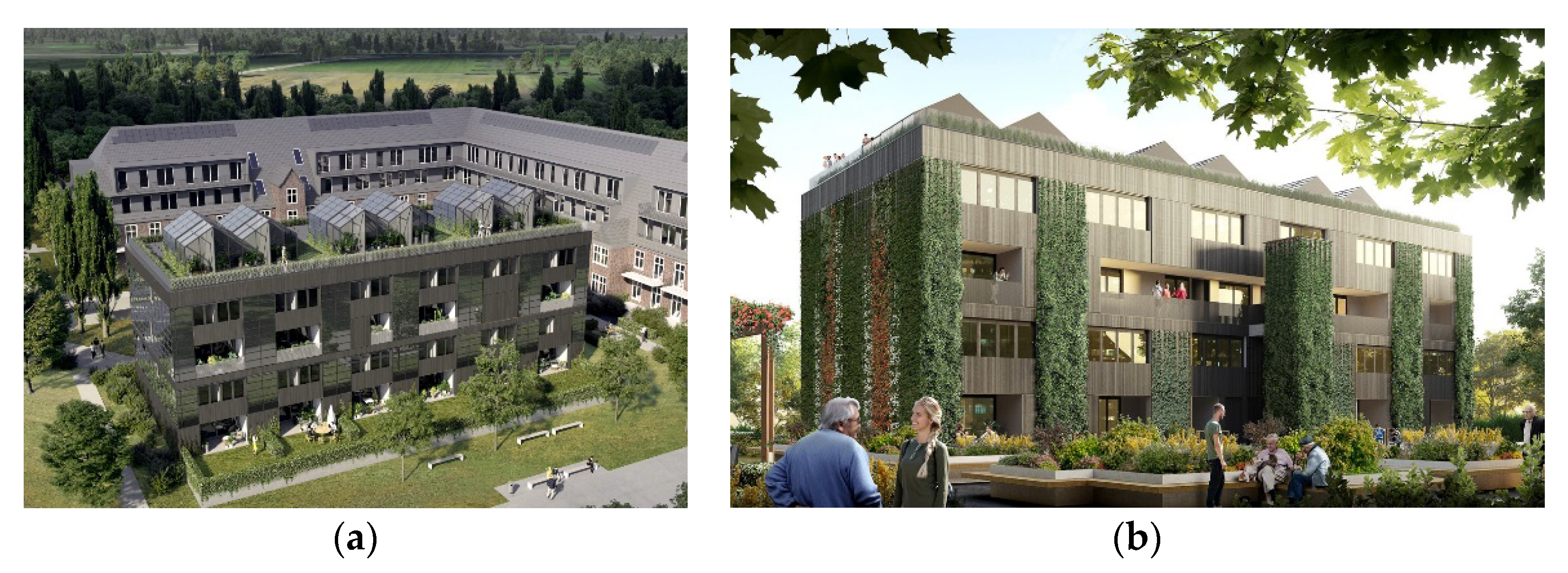 Sustainability 13 09167 g003