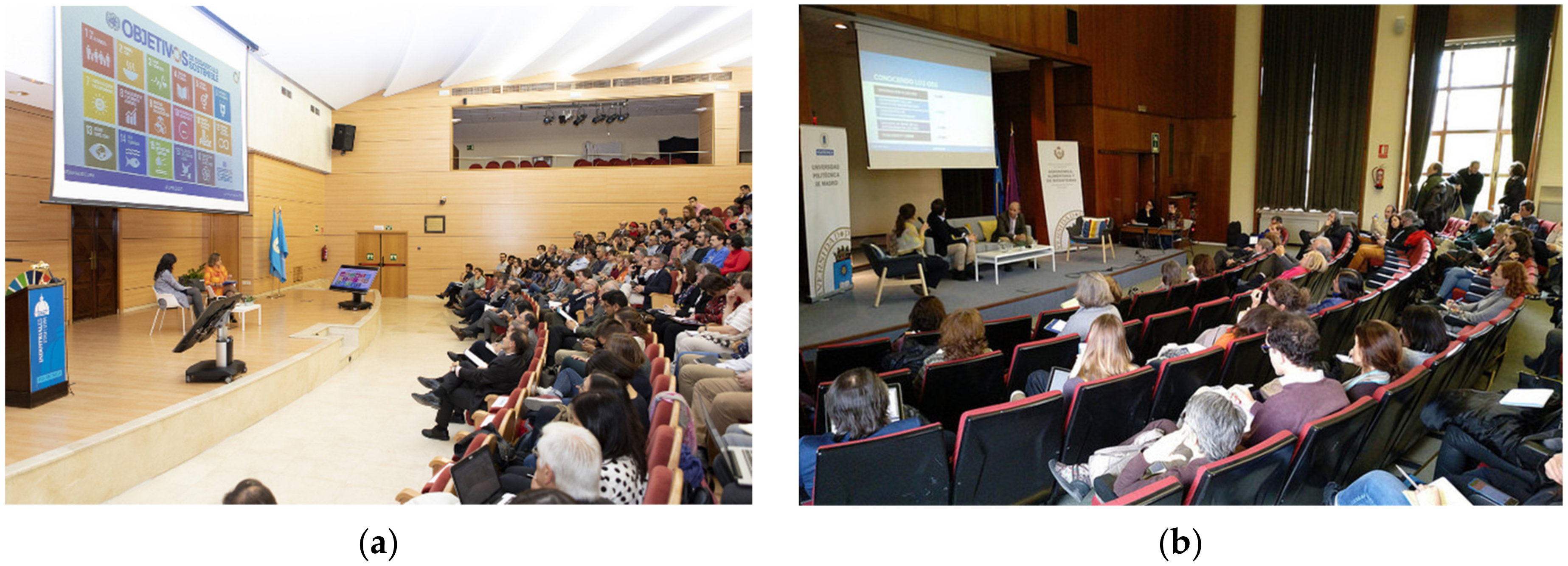 Sustainability 13 09168 g0a1a