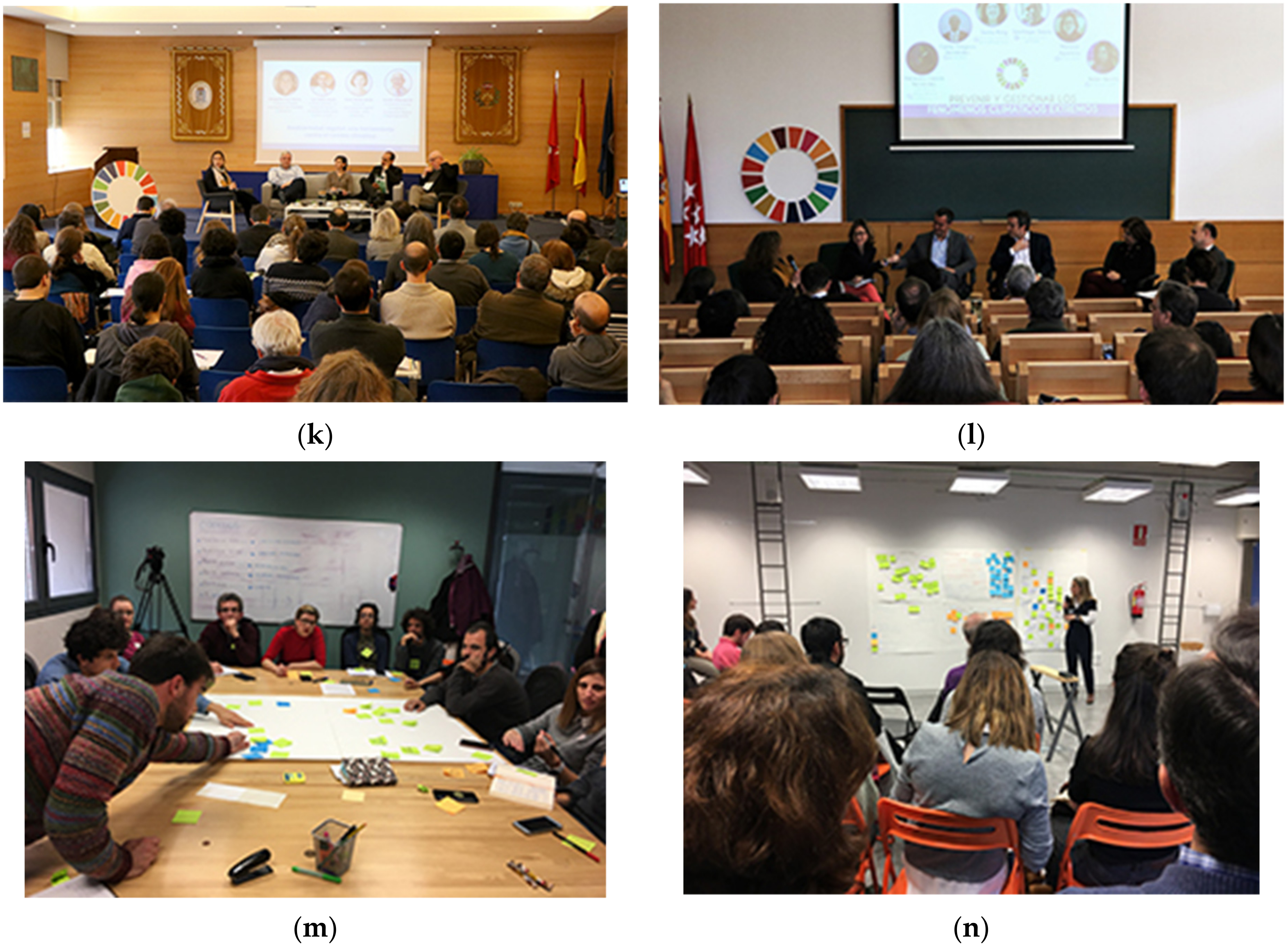 Sustainability 13 09168 g0a1c