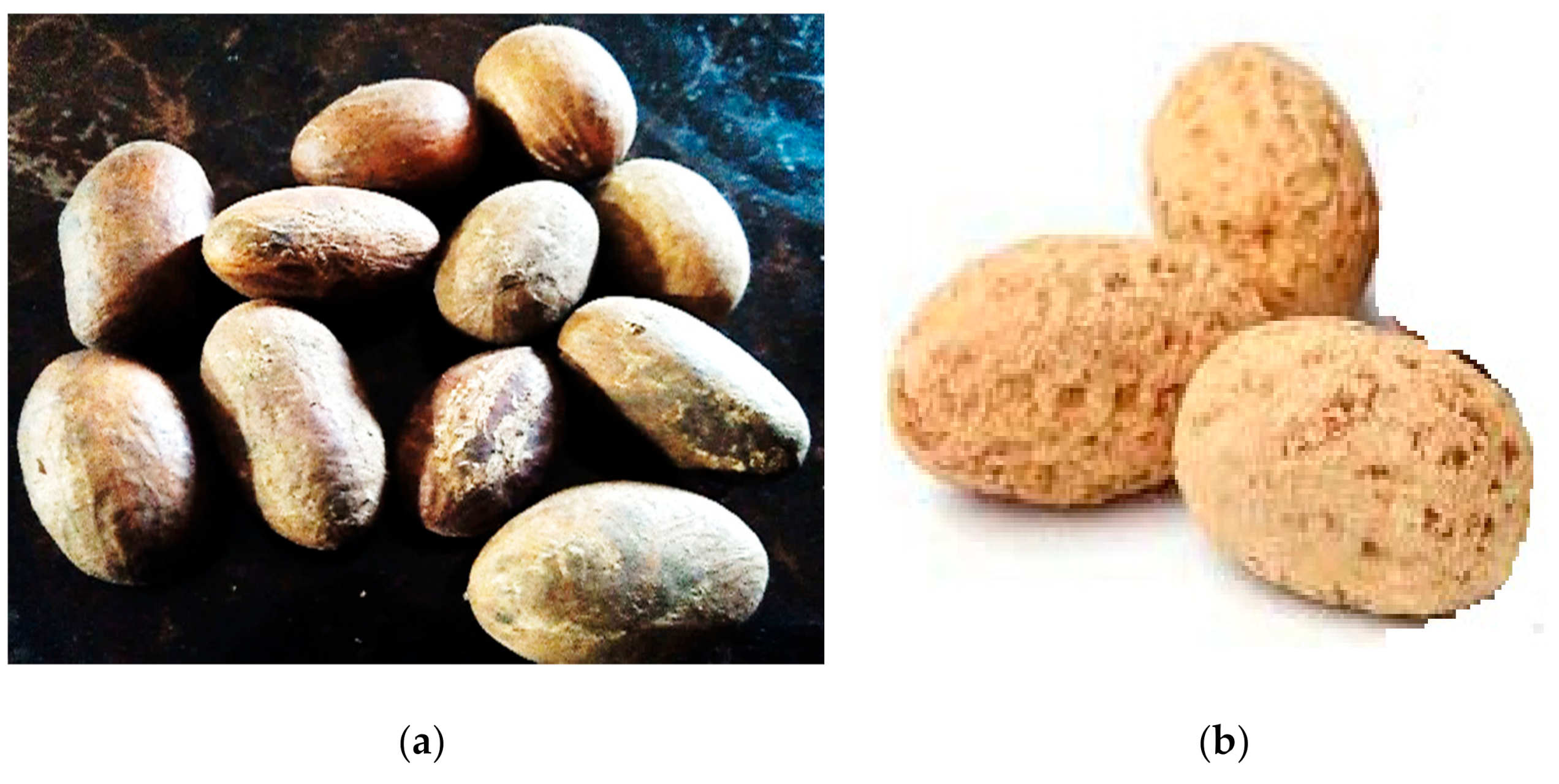 Sustainability Free Full Text Coagulation Flocculation Of Aquaculture Wastewater Using Green Coagulant From Garcinia Kola Seeds Parametric Studies Kinetic Modelling And Cost Analysis Html
