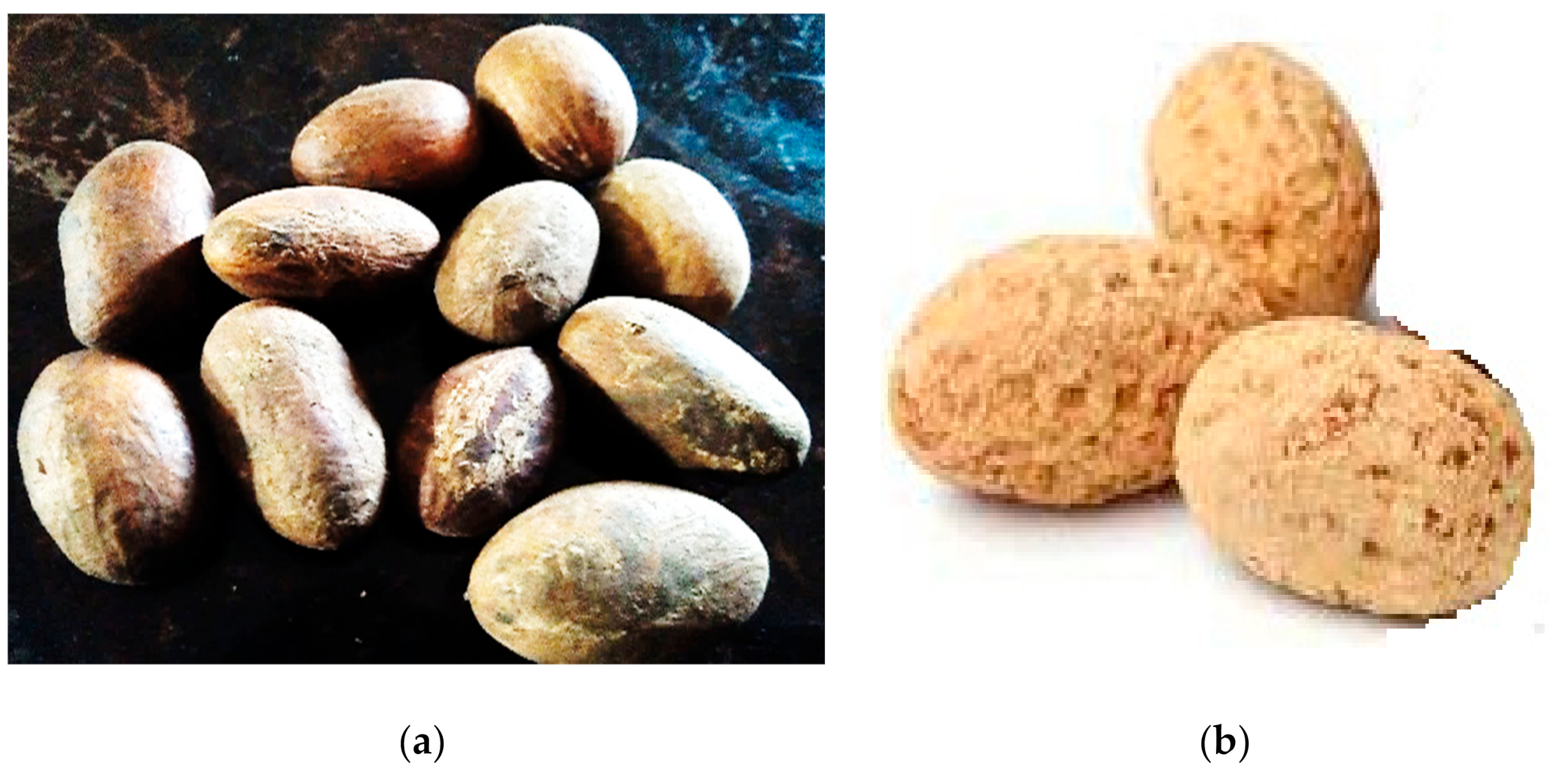 sustainability free full text coagulation flocculation of aquaculture wastewater using green coagulant from garcinia kola seeds parametric studies kinetic modelling and cost analysis html