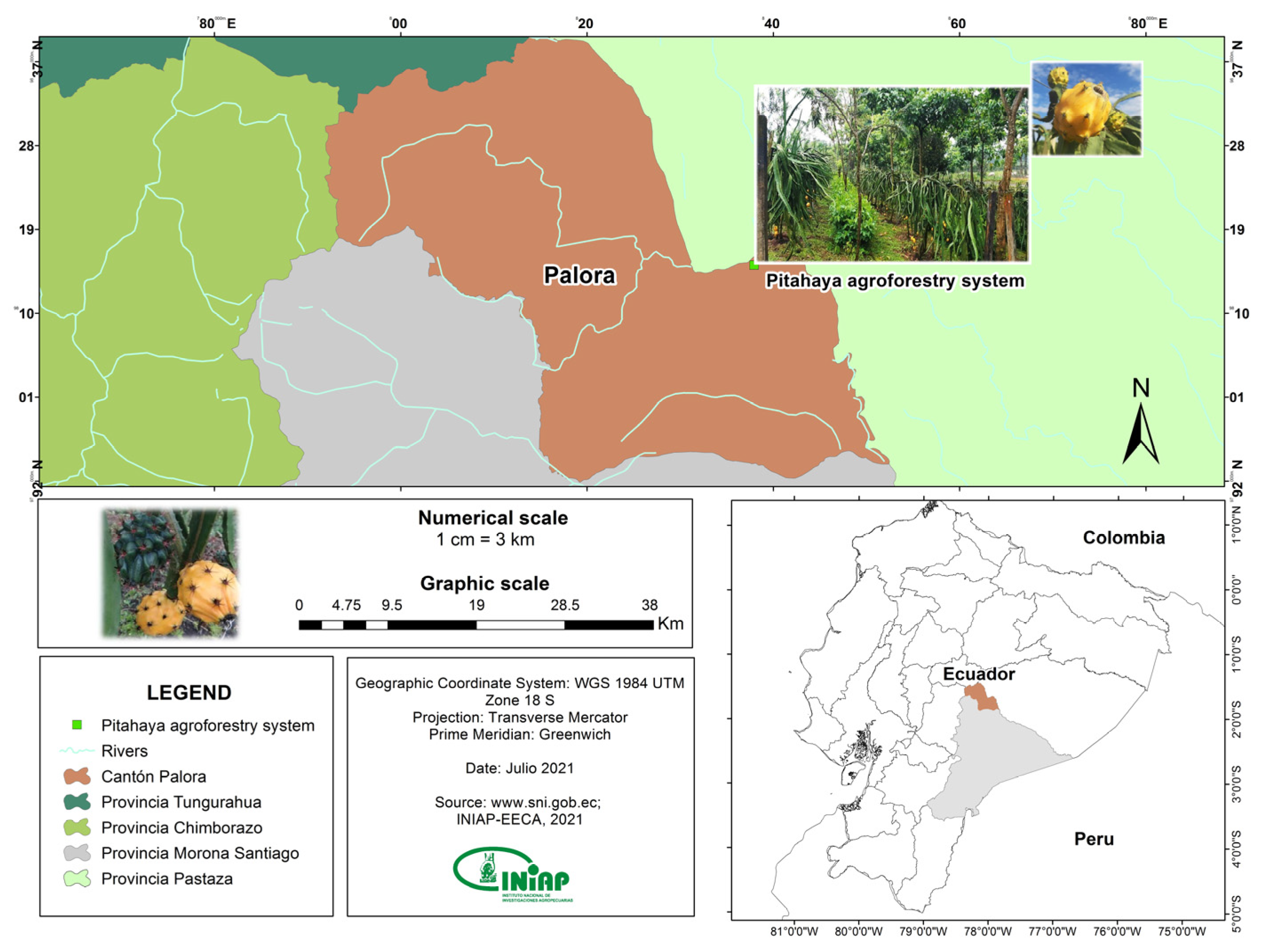 Sustainability 13 09261 g001