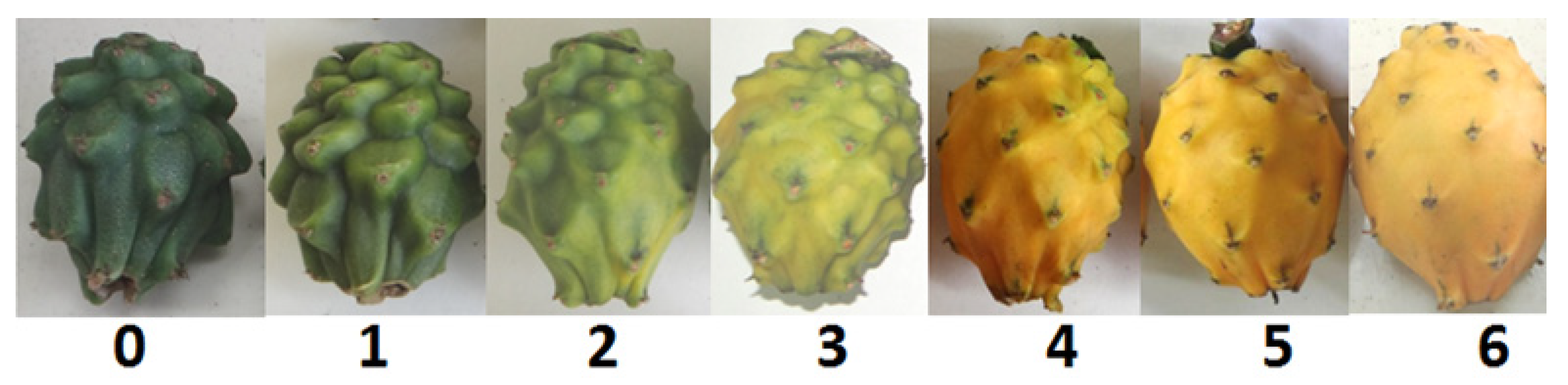 Sustainability 13 09261 g002