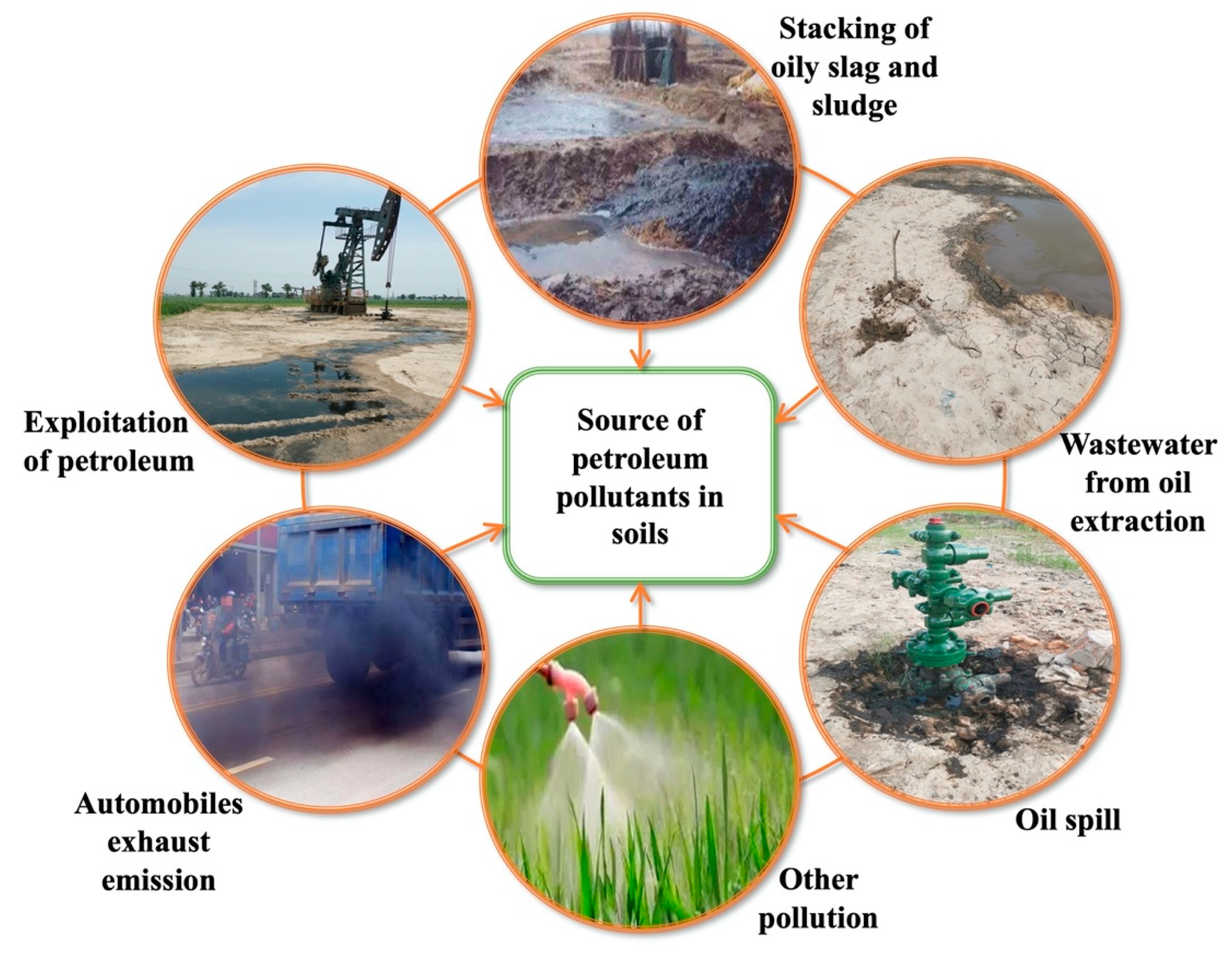 I. Introduction to Soil Pollution Remediation