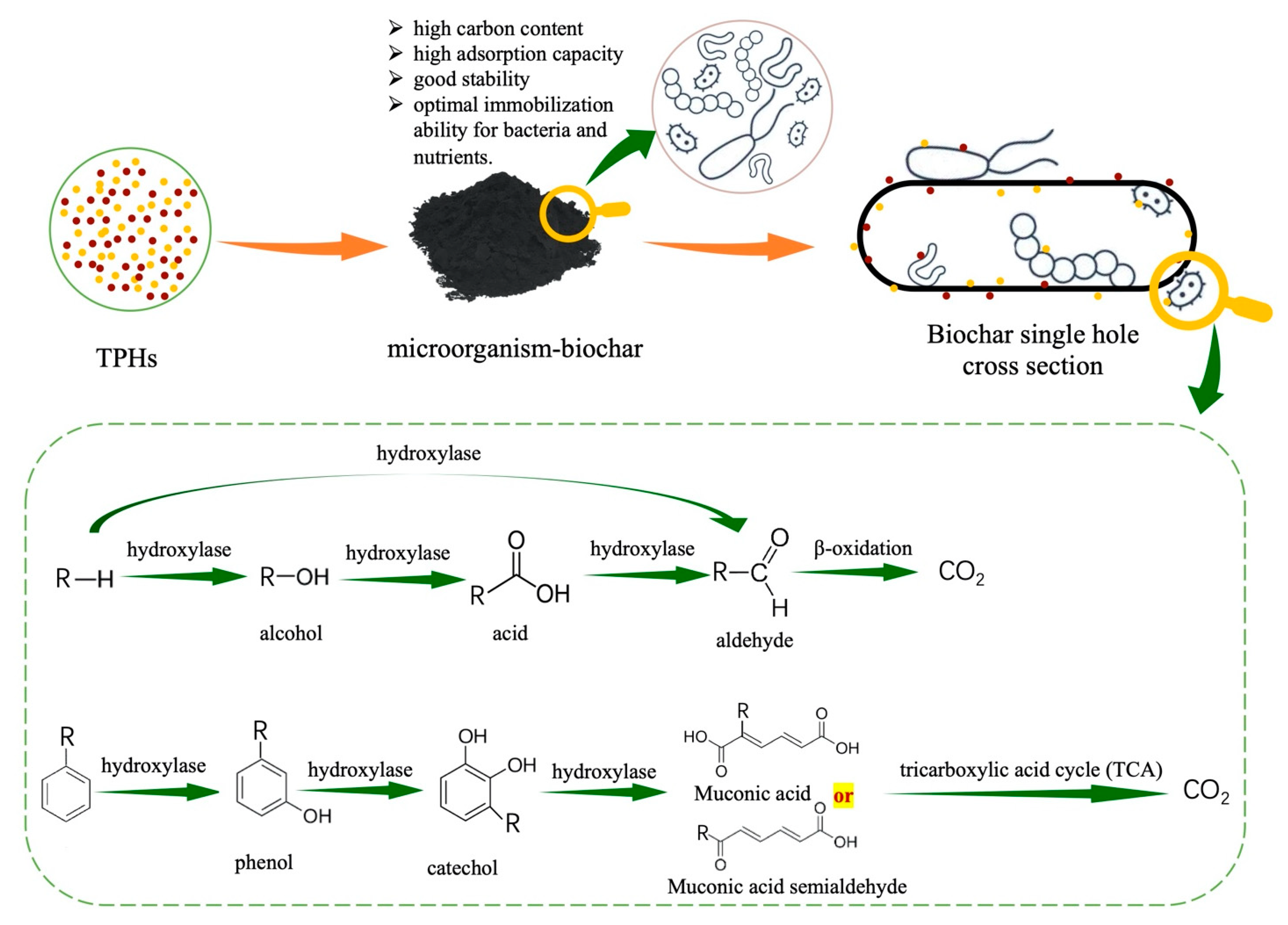 Sustainability 13 09267 g005 Sustainability 13 09267 g005