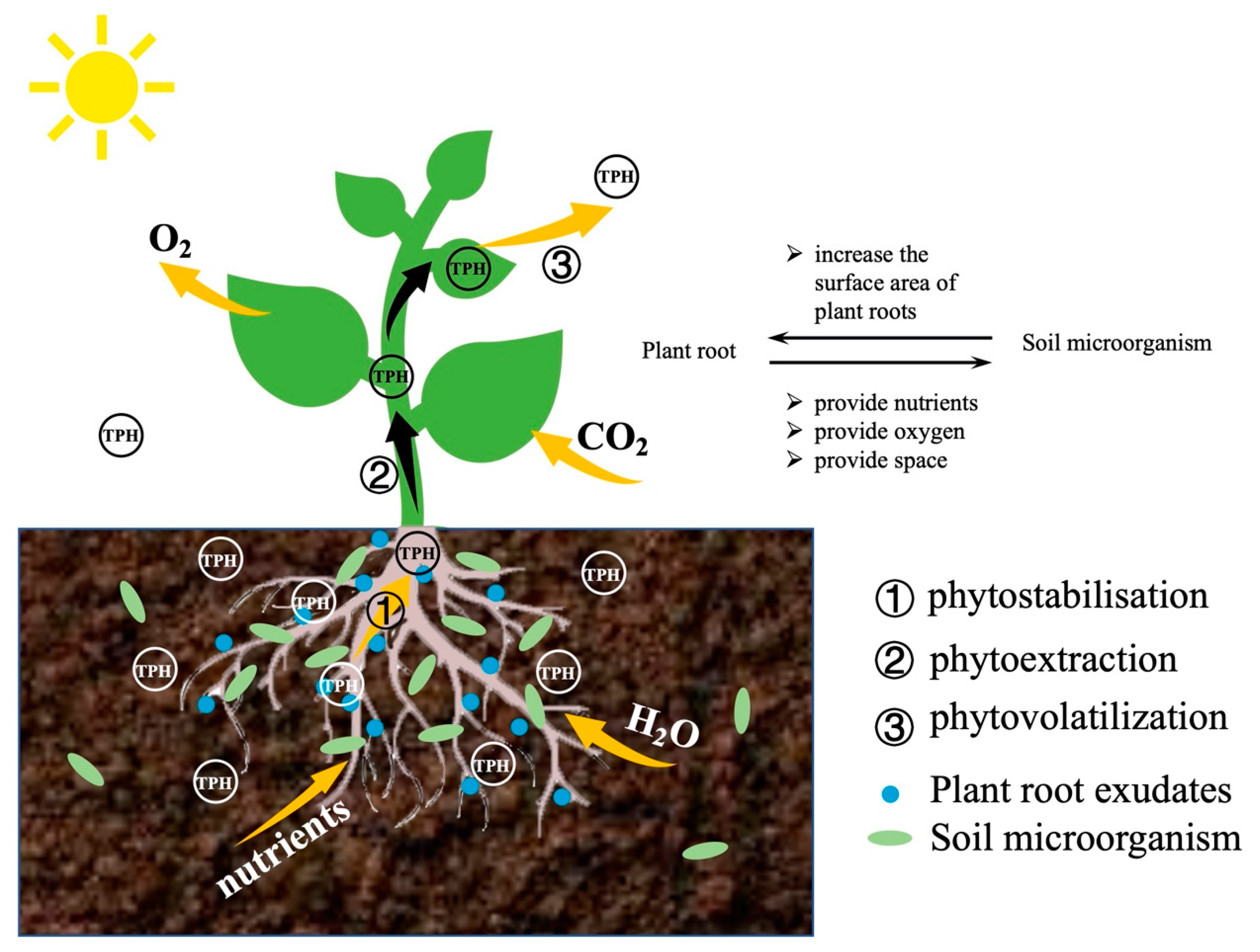 Sustainability 13 09267 g006 Sustainability 13 09267 g006