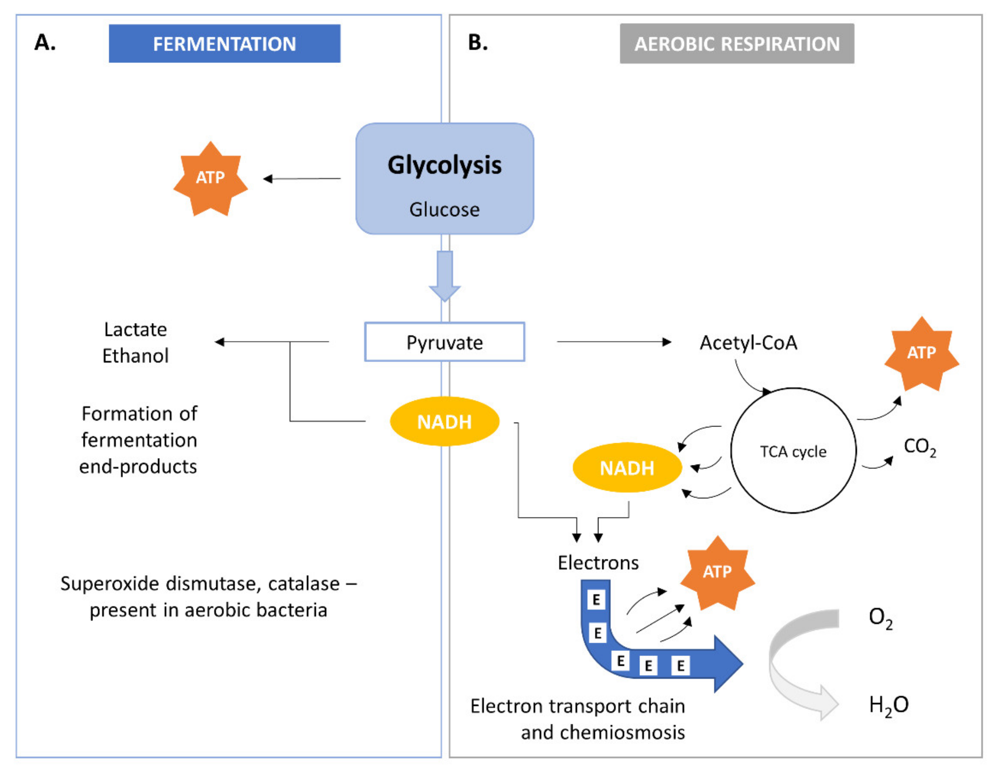 Sustainability 13 09284 g002