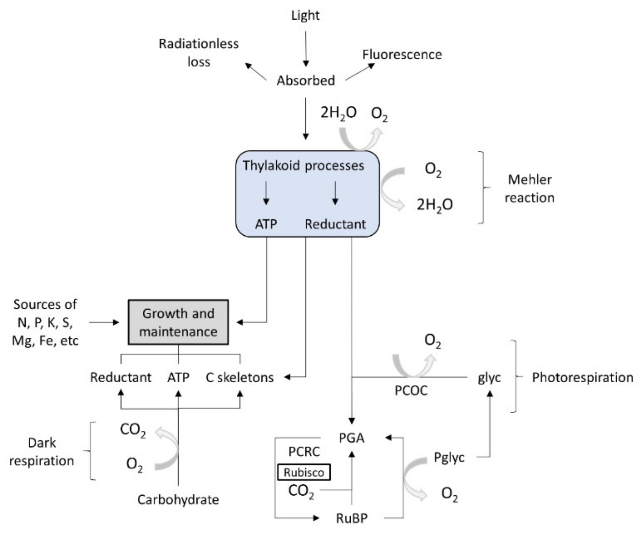 Sustainability 13 09284 g003