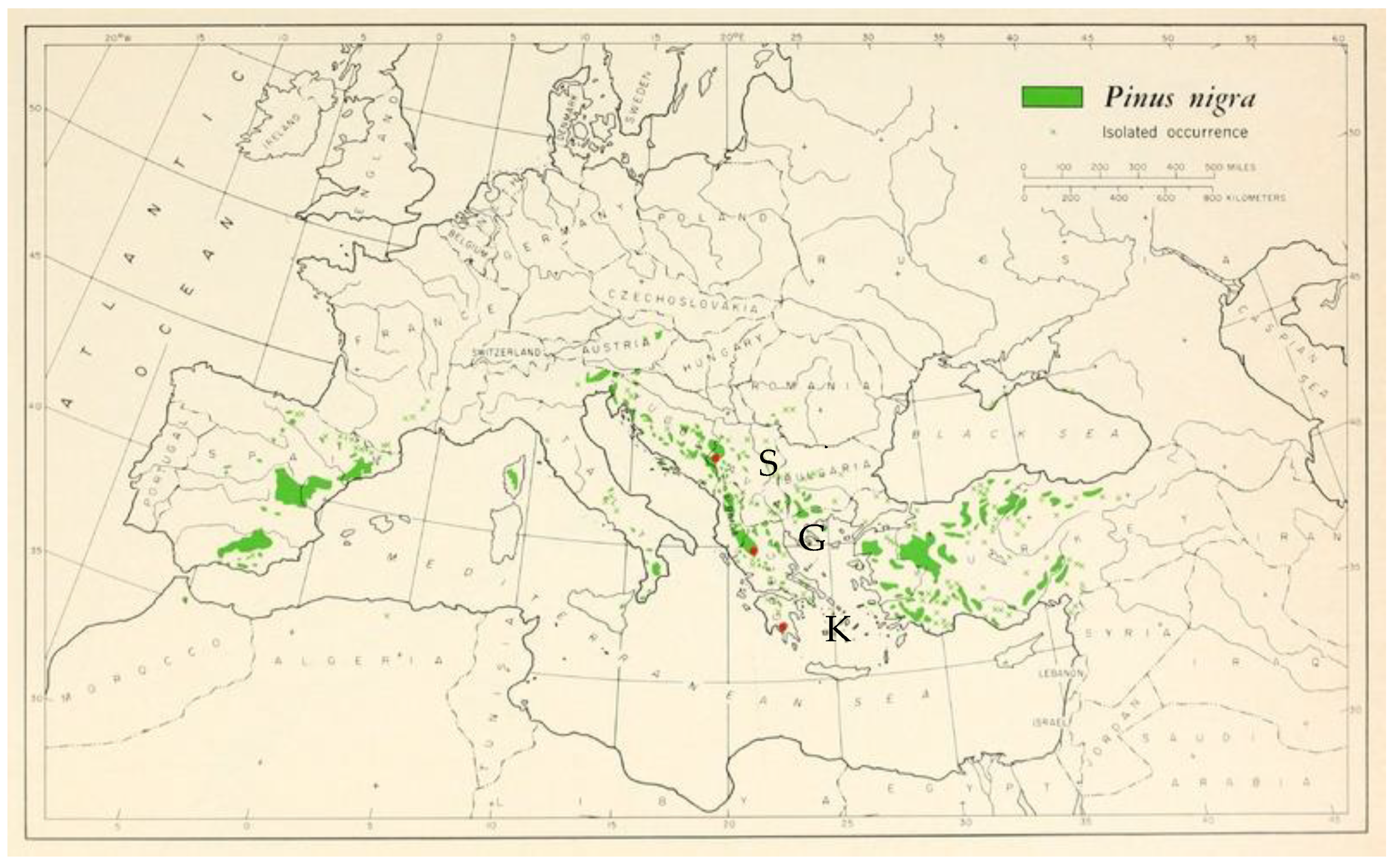 Sustainability 13 09290 g001
