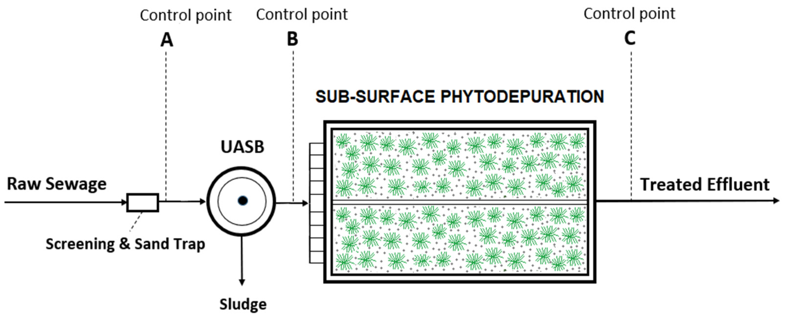 Sustainability 13 09302 g001