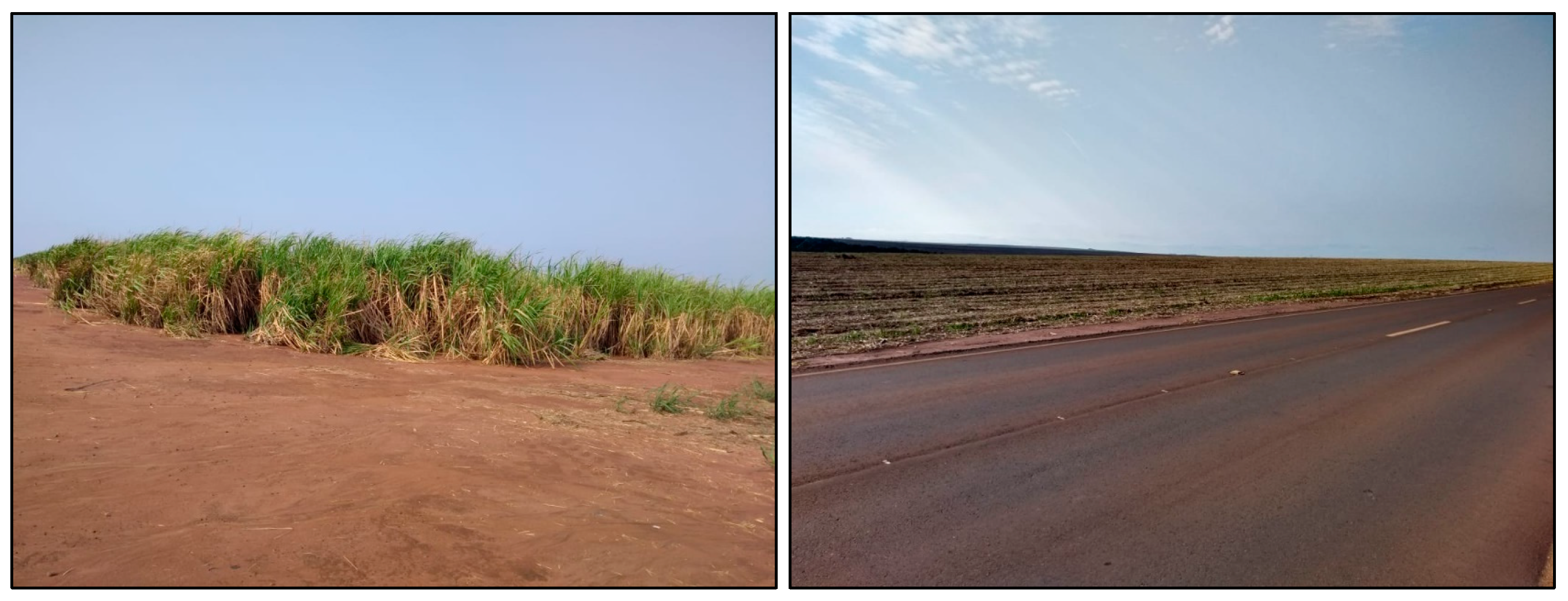 Sustainability 13 09304 g0a1