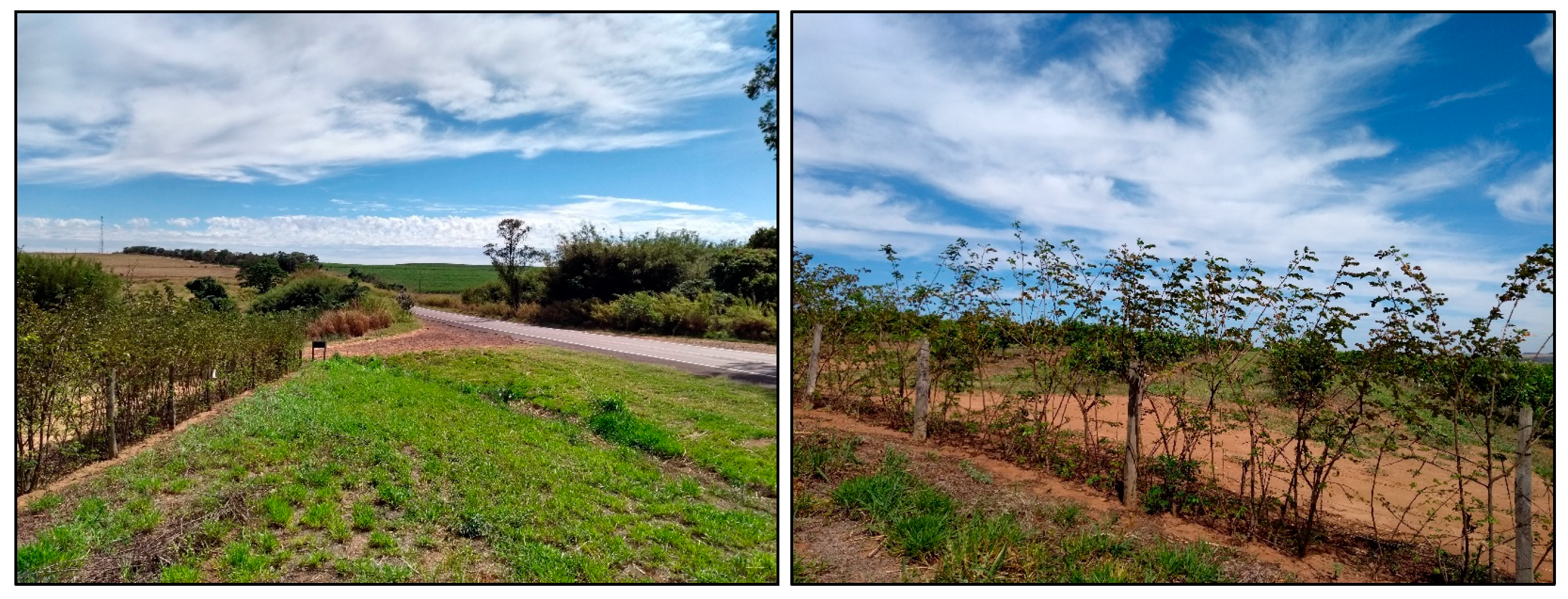 Sustainability 13 09304 g0a3