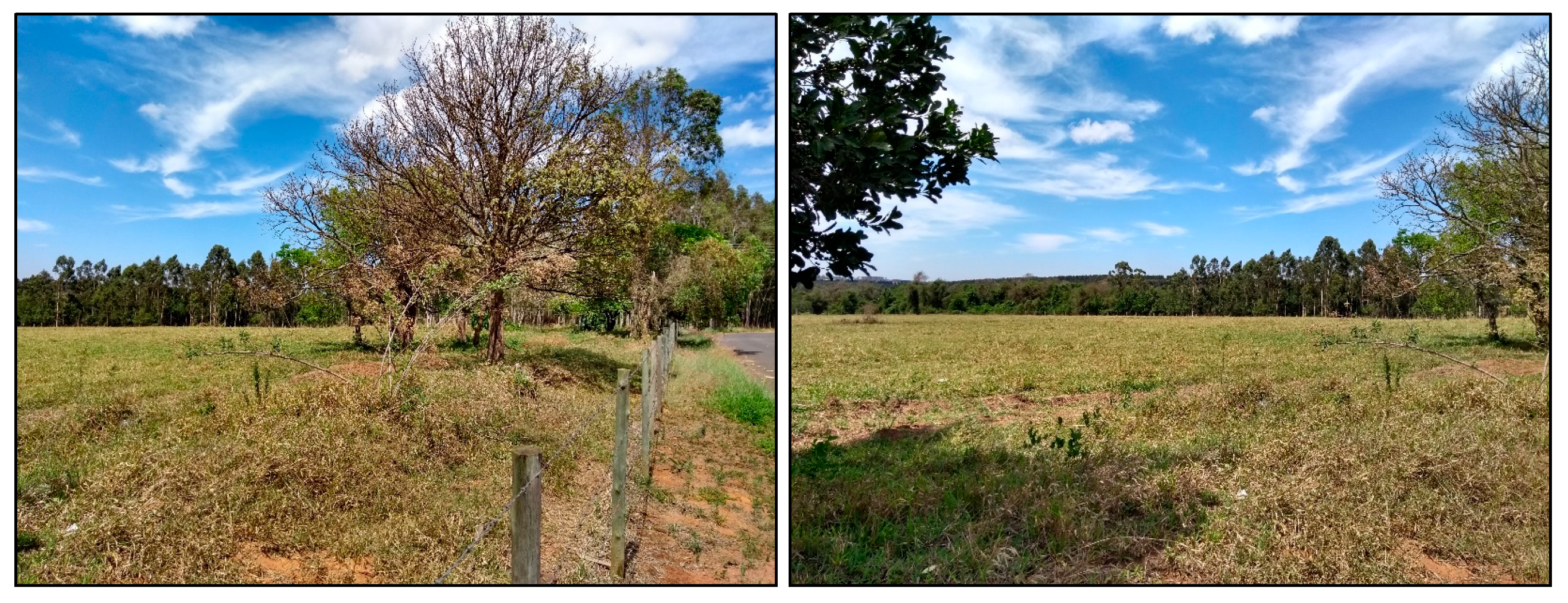 Sustainability 13 09304 g0a4