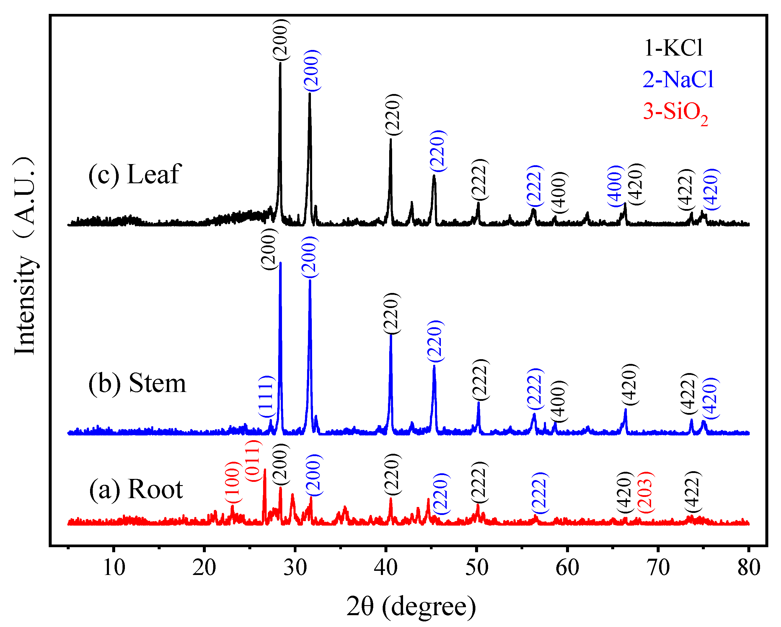 Sustainability 13 09307 g002