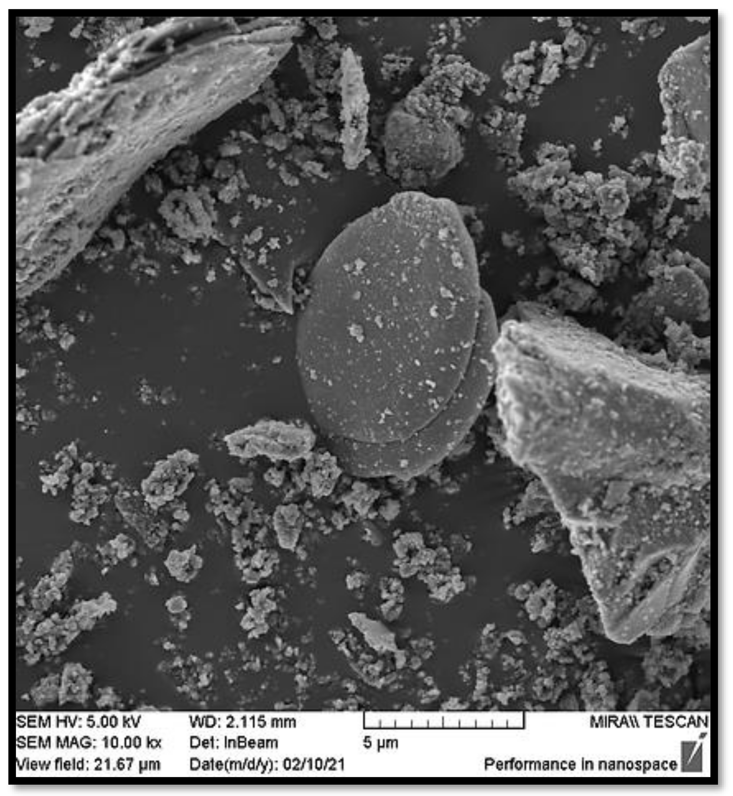 Sustainability 13 09330 g006