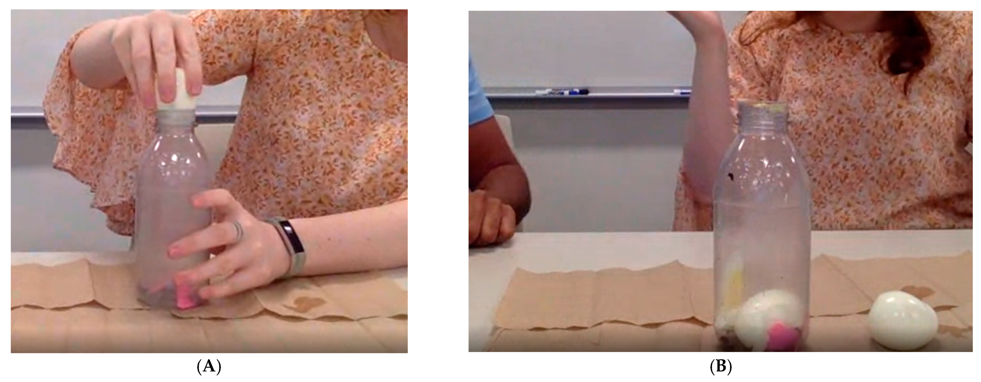 Sustainability 13 09334 g001 550