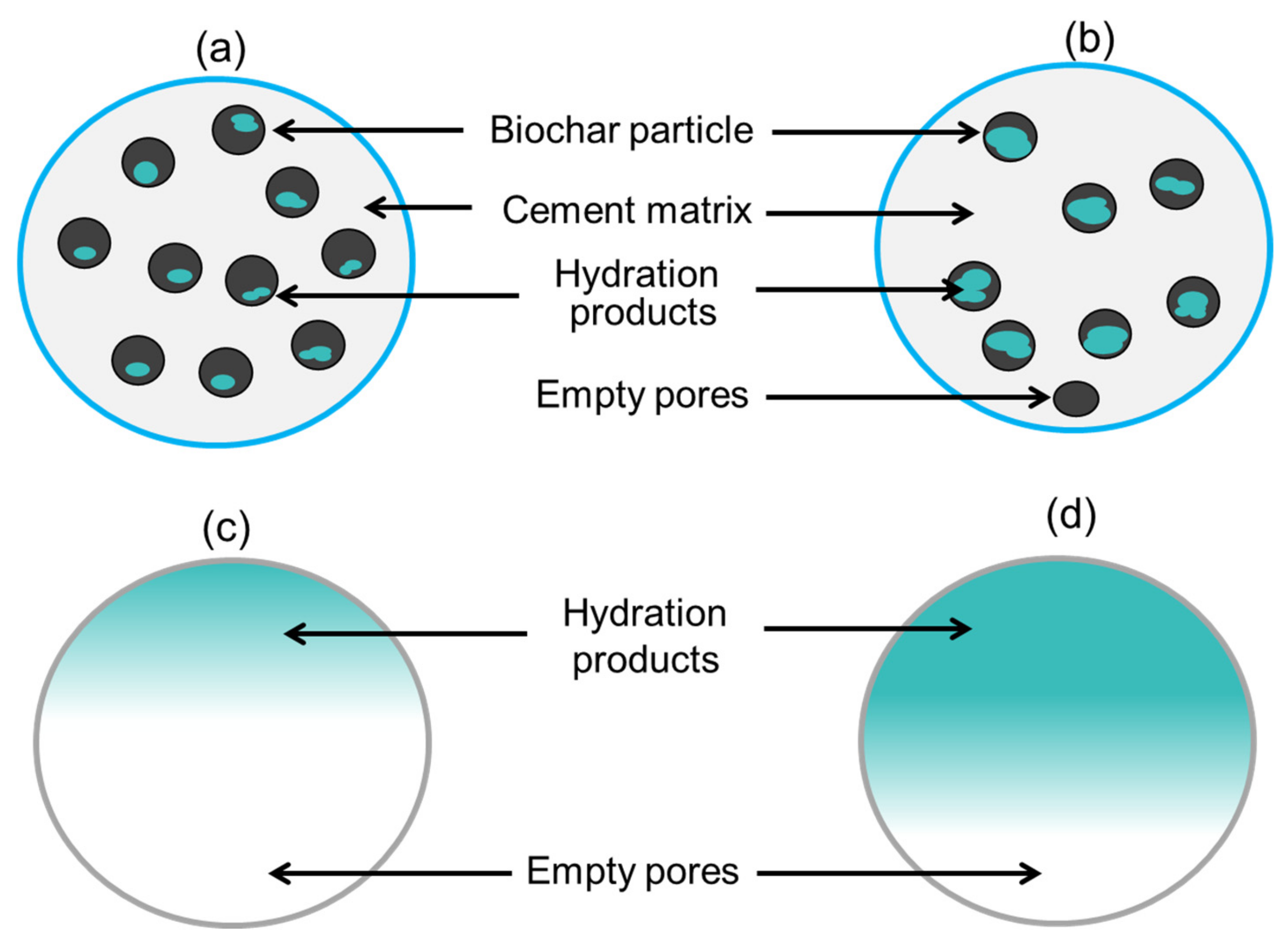 Sustainability 13 09336 g006