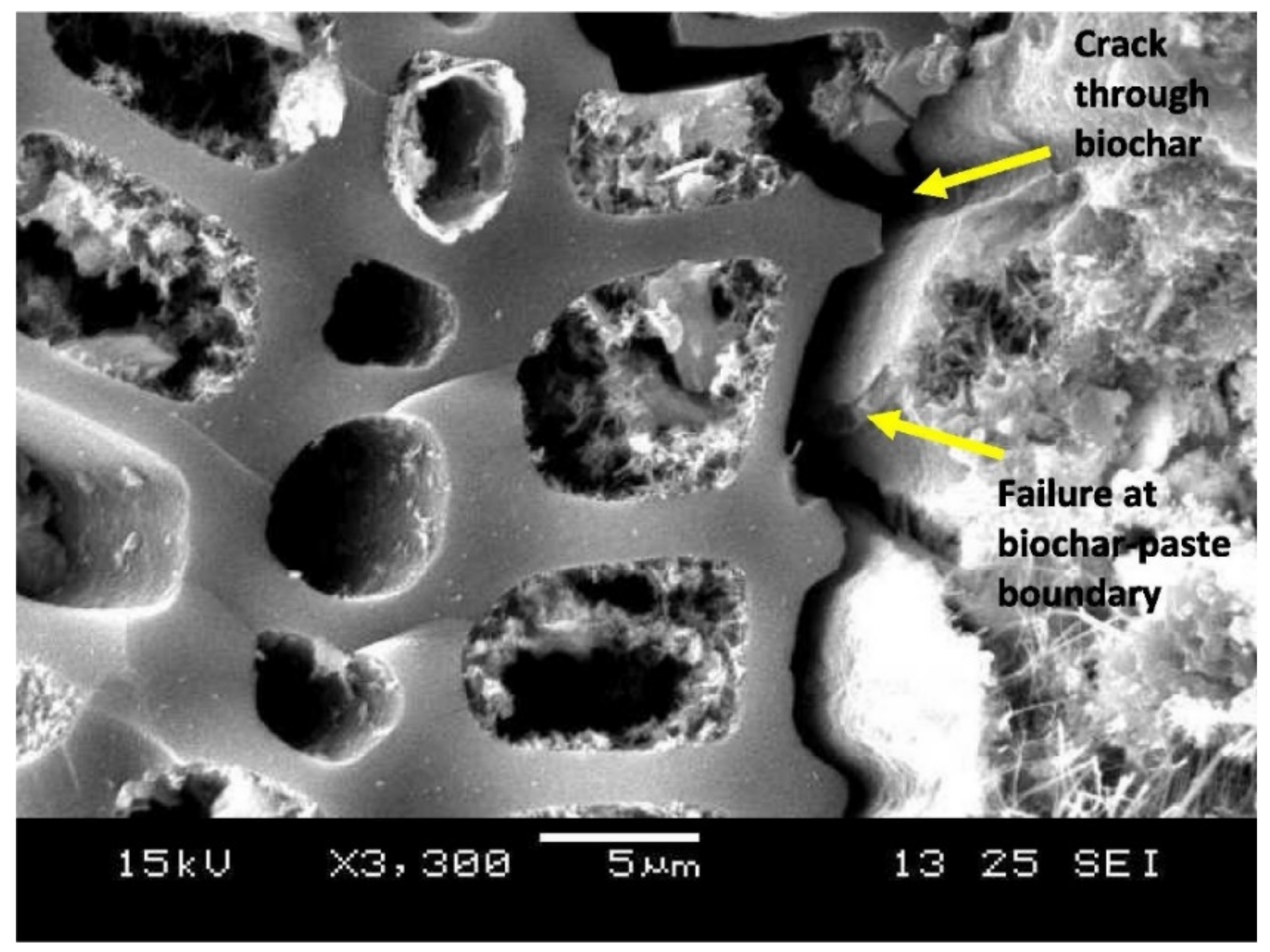 Sustainability 13 09336 g008