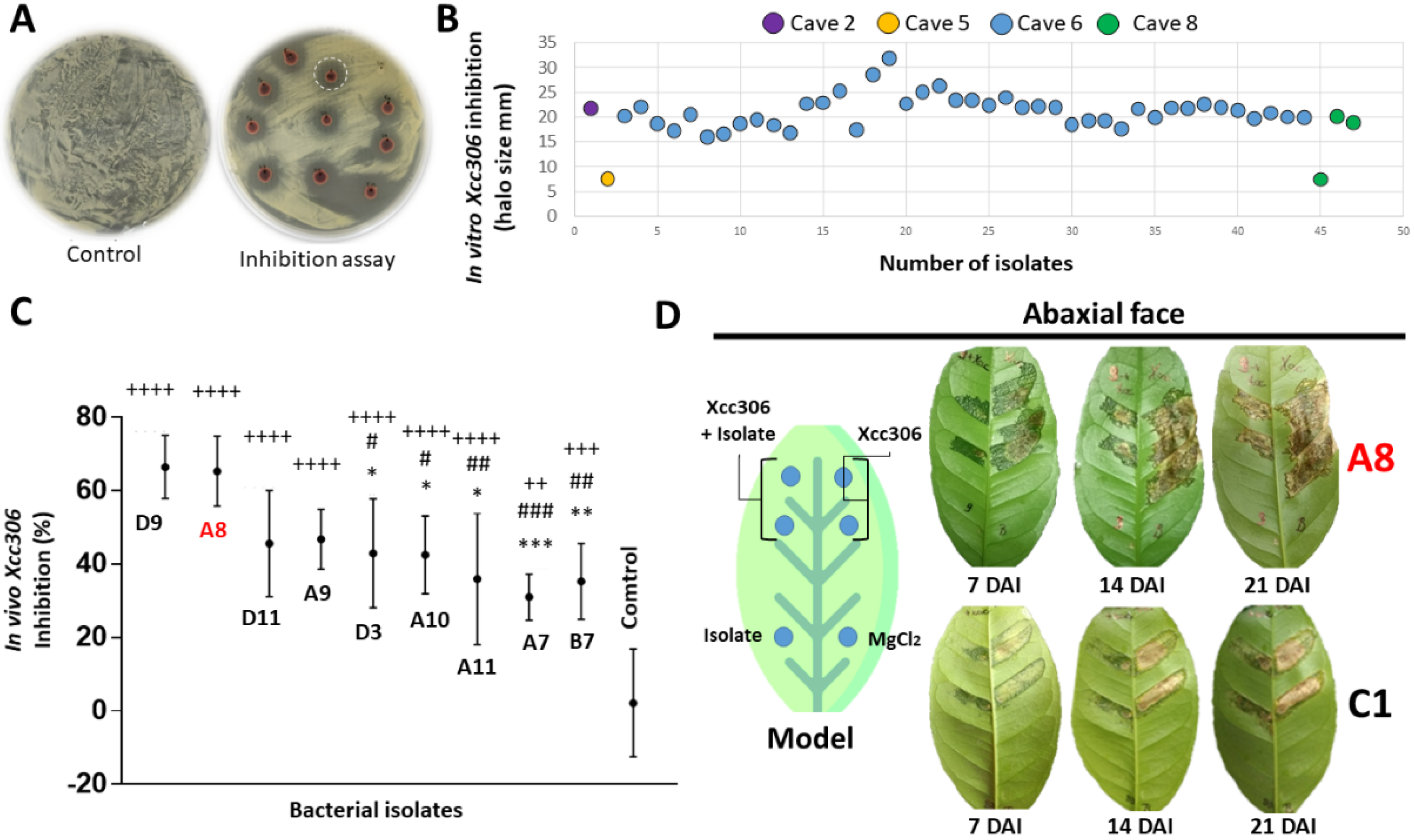 Sustainability 13 09354 g003