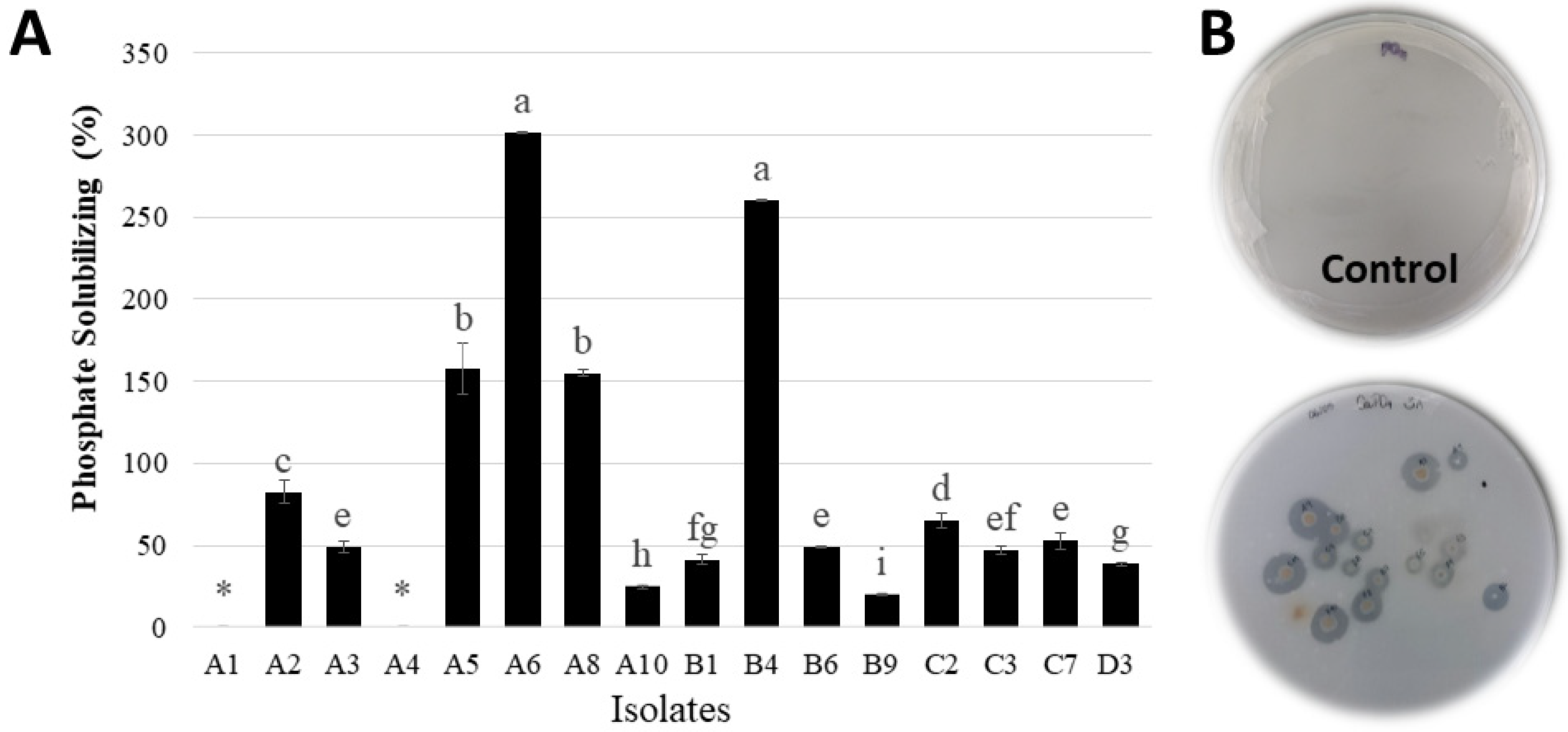 Sustainability 13 09354 g006