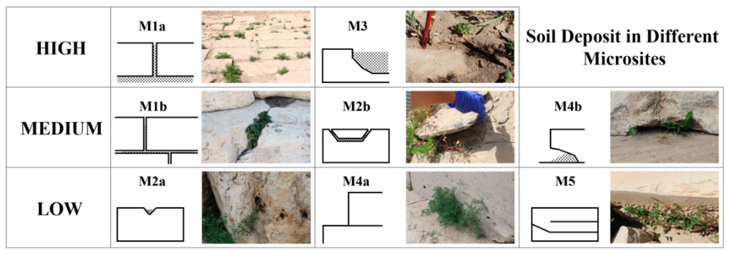 Sustainability 13 09381 g002