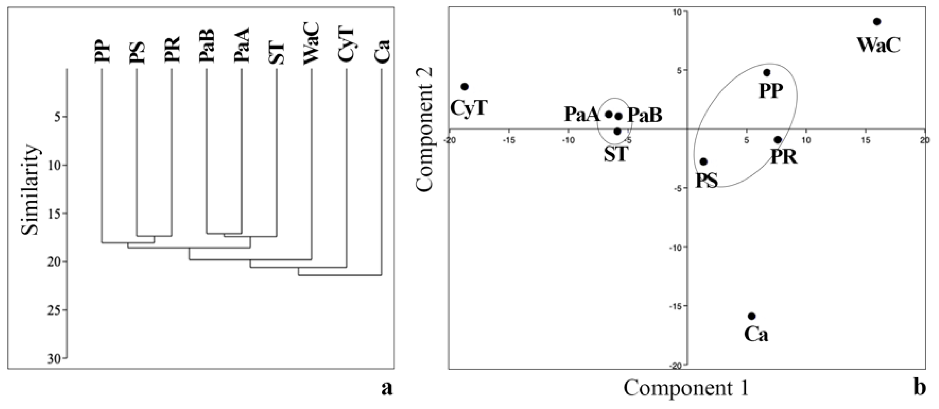 Sustainability 13 09381 g003