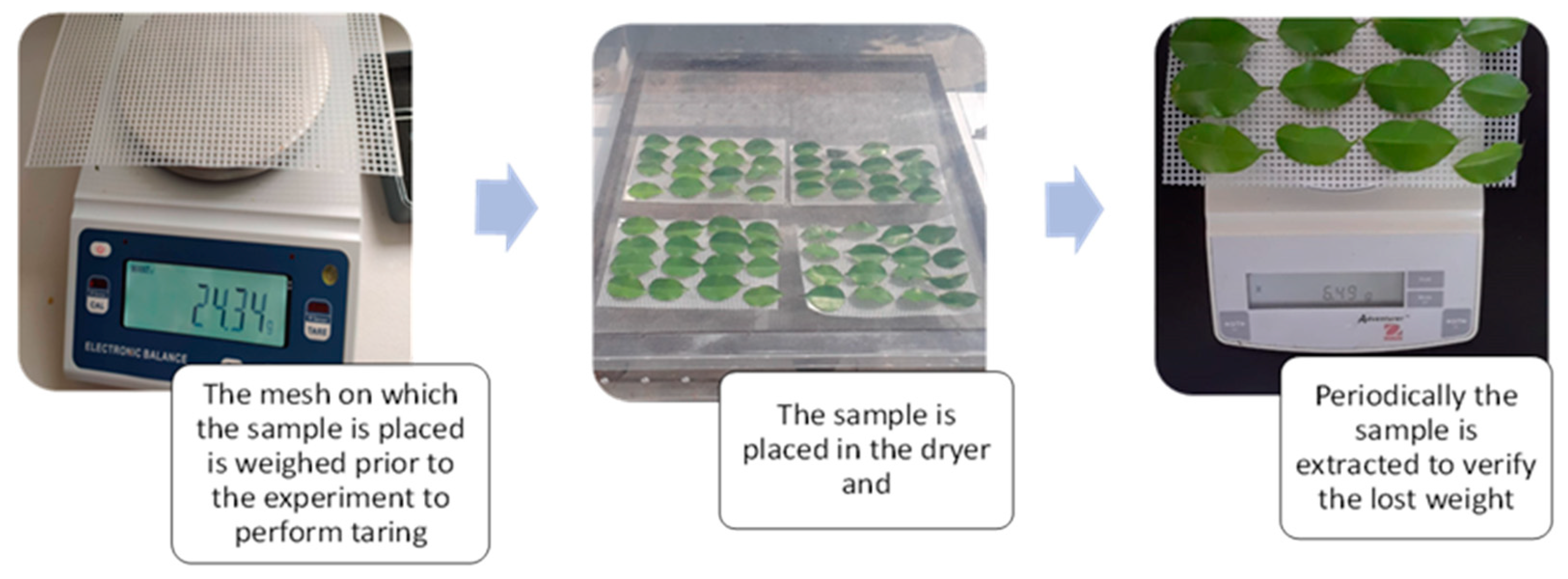 Sustainability 13 09393 g002