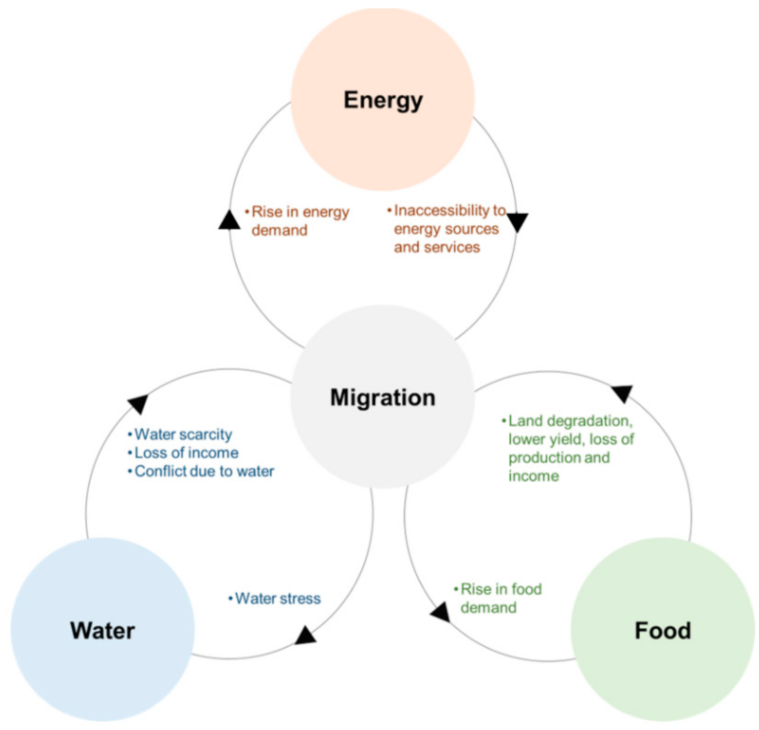 The water-energy-food nexus: What the Brazilian research has to