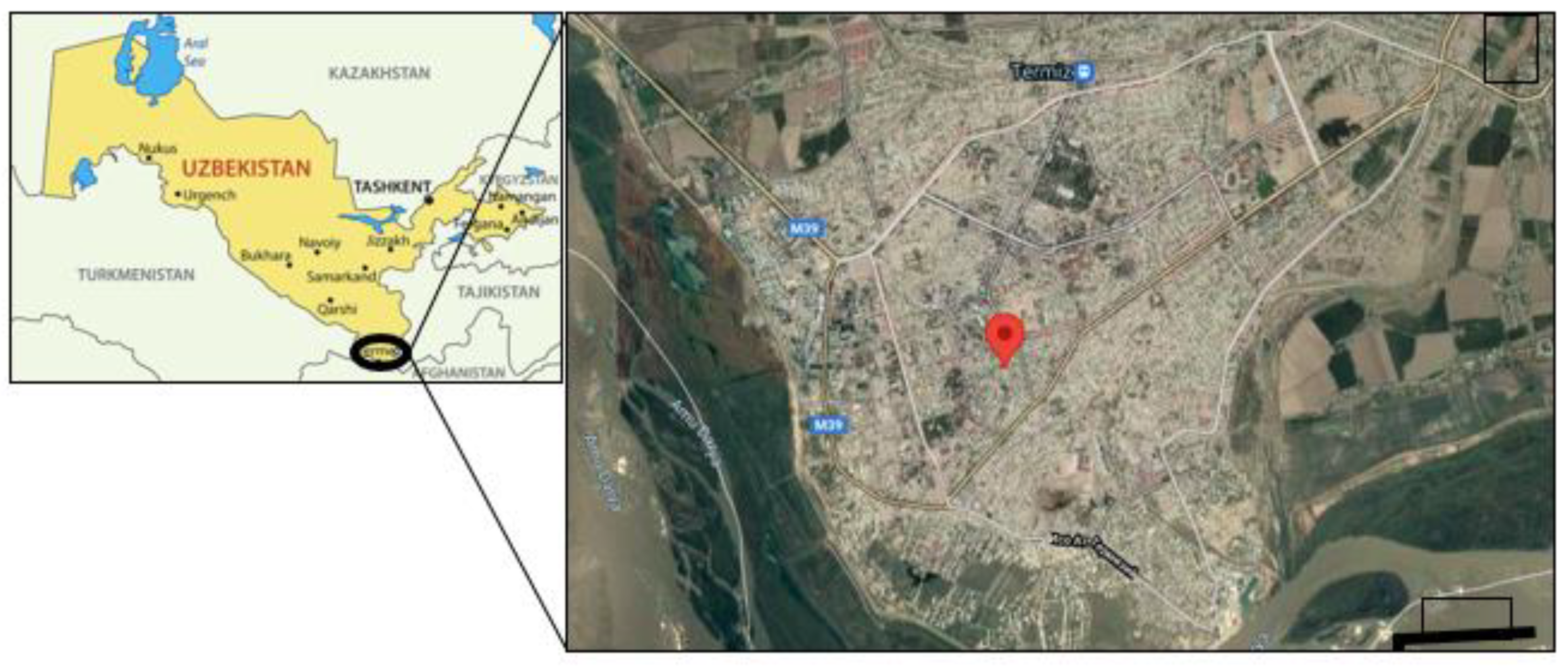 Sustainability 13 09437 g001 Sustainability 13 09437 g001