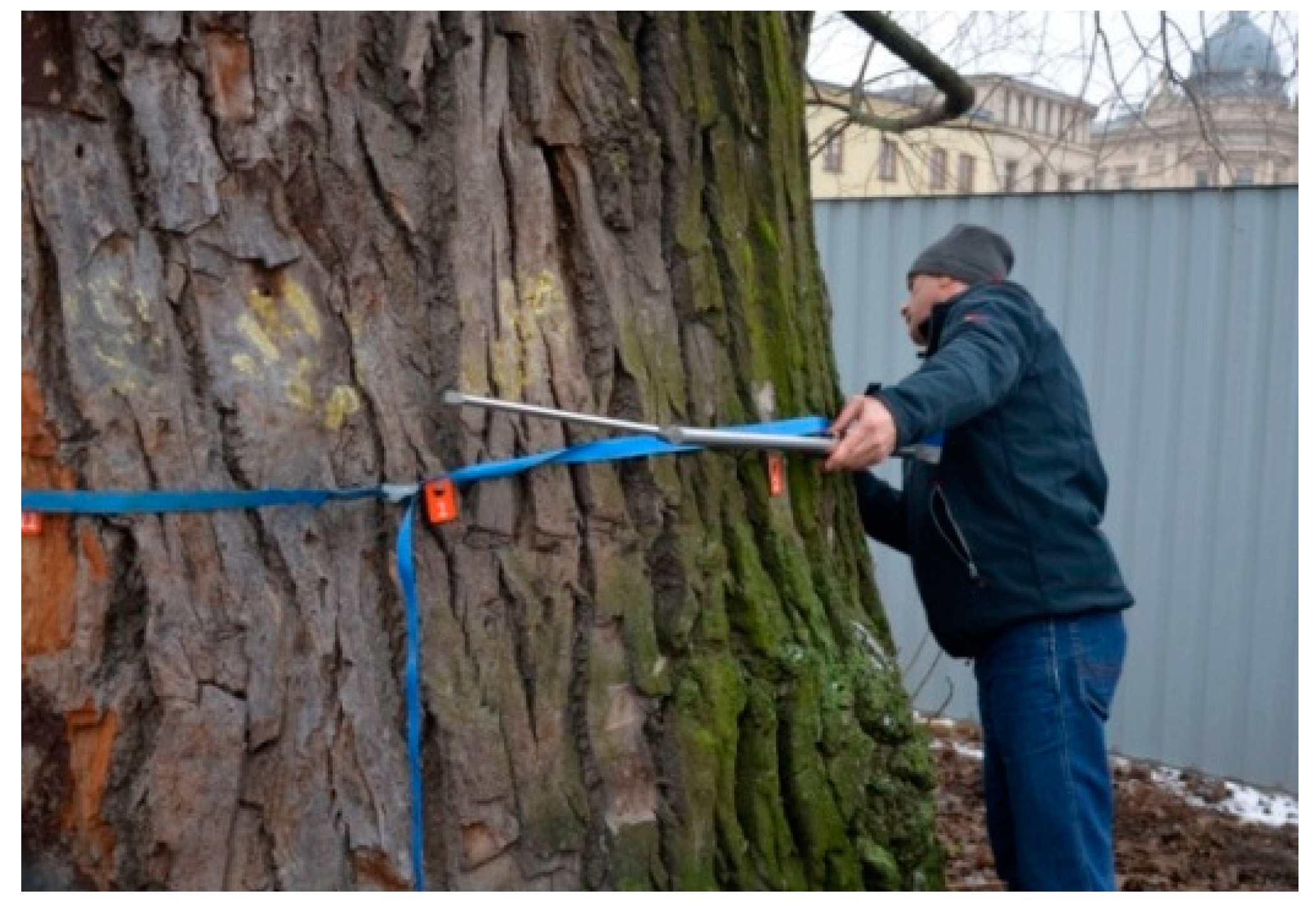 Sustainability 13 09451 g001