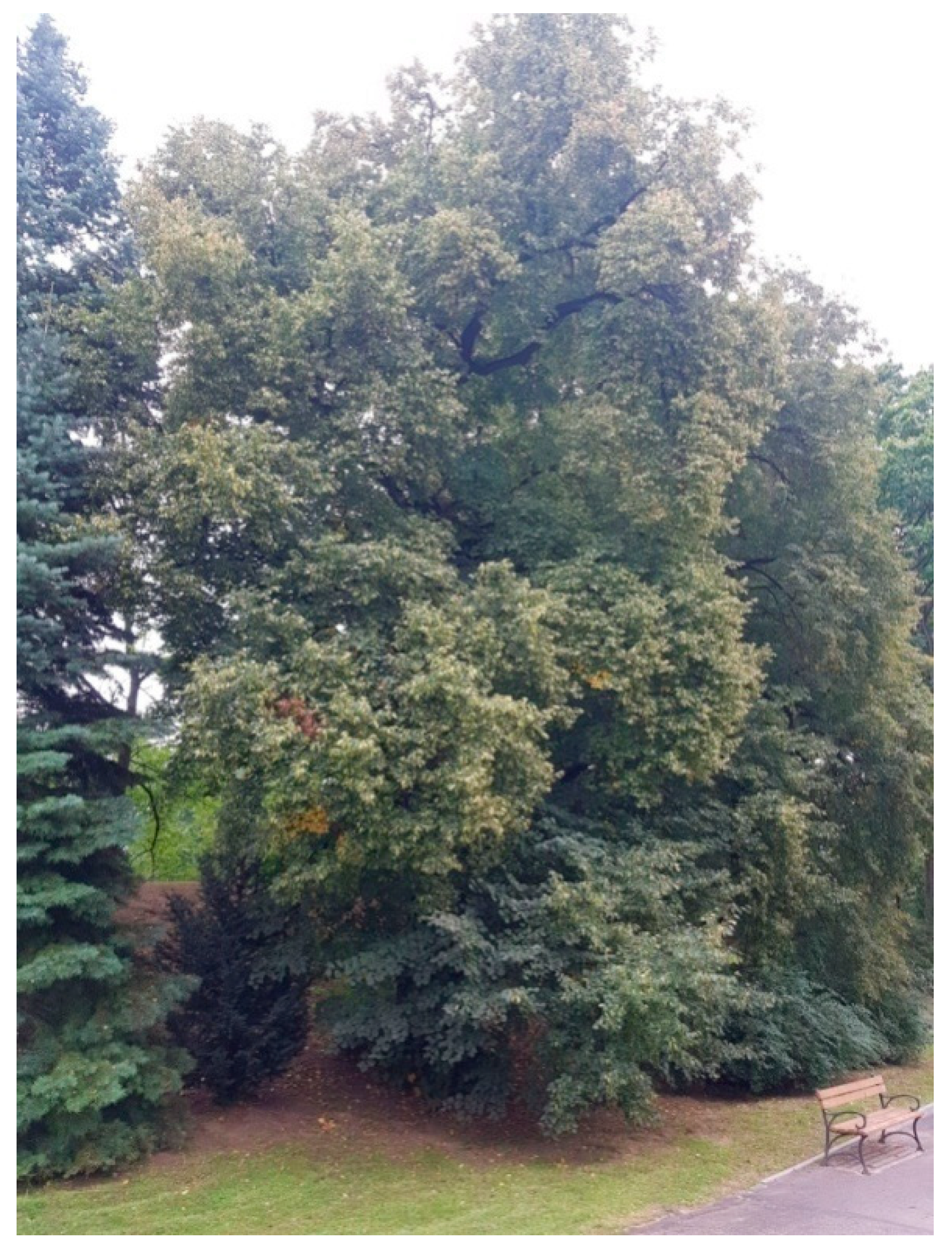 Sustainability 13 09451 g008