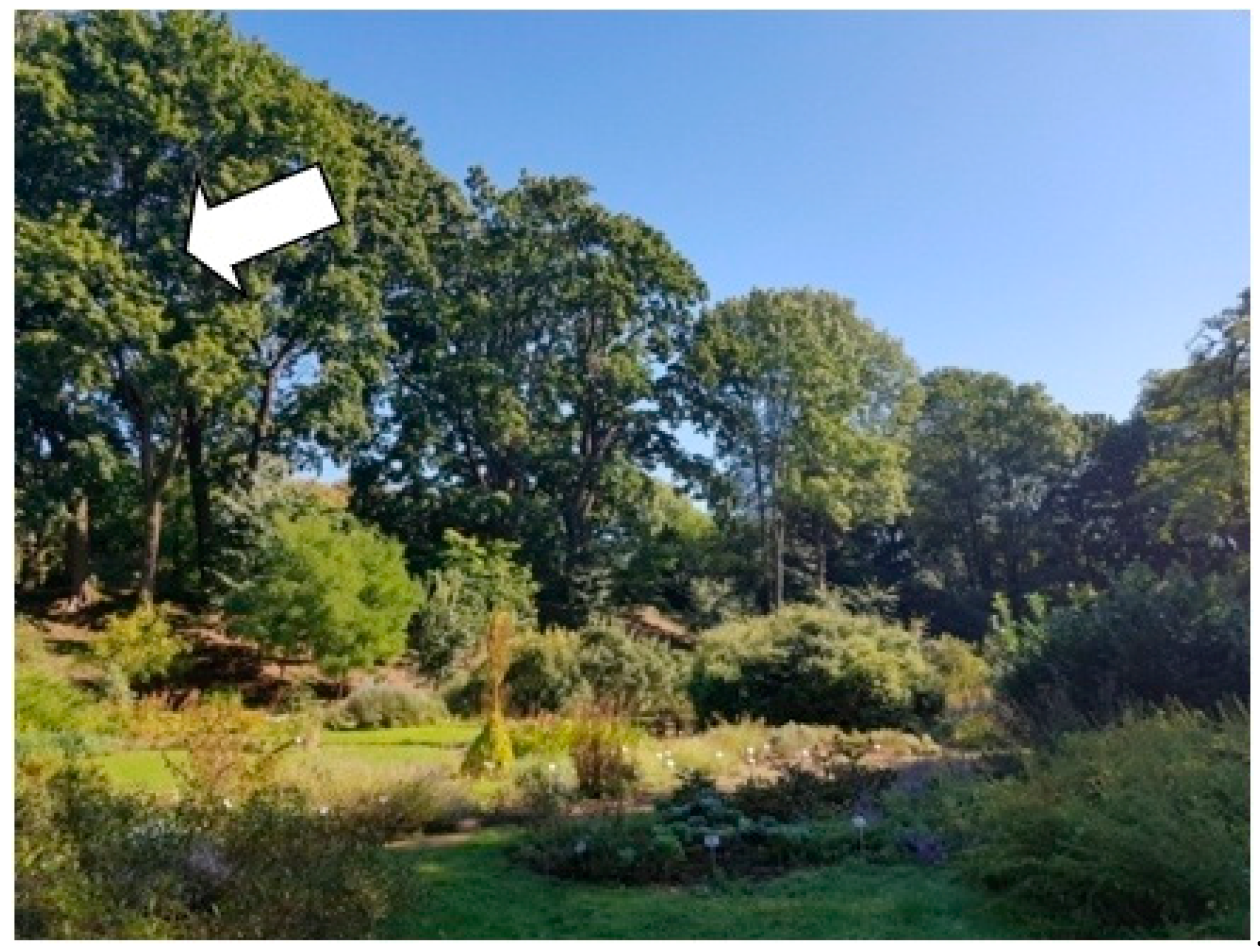 Sustainability 13 09451 g014