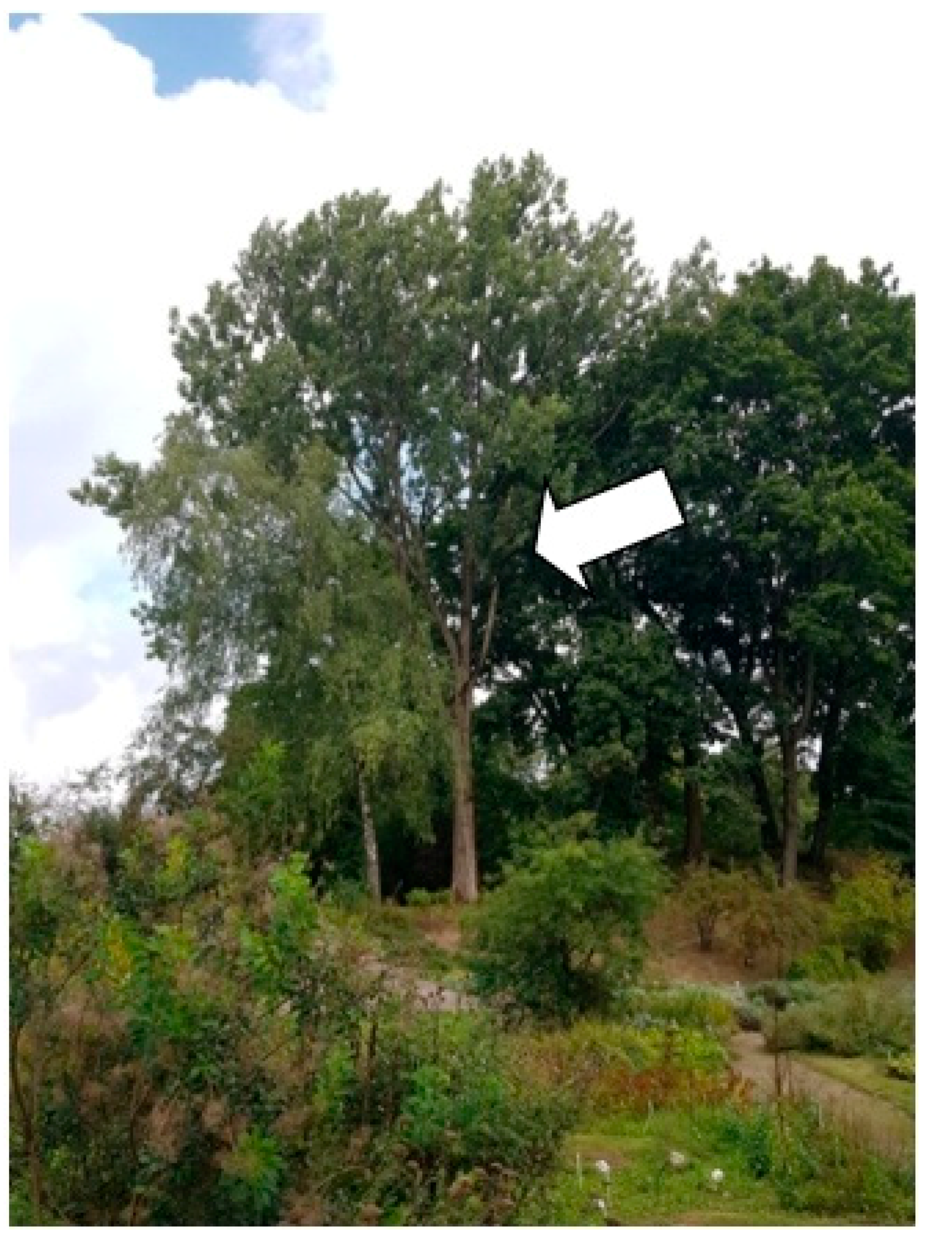 Sustainability 13 09451 g016