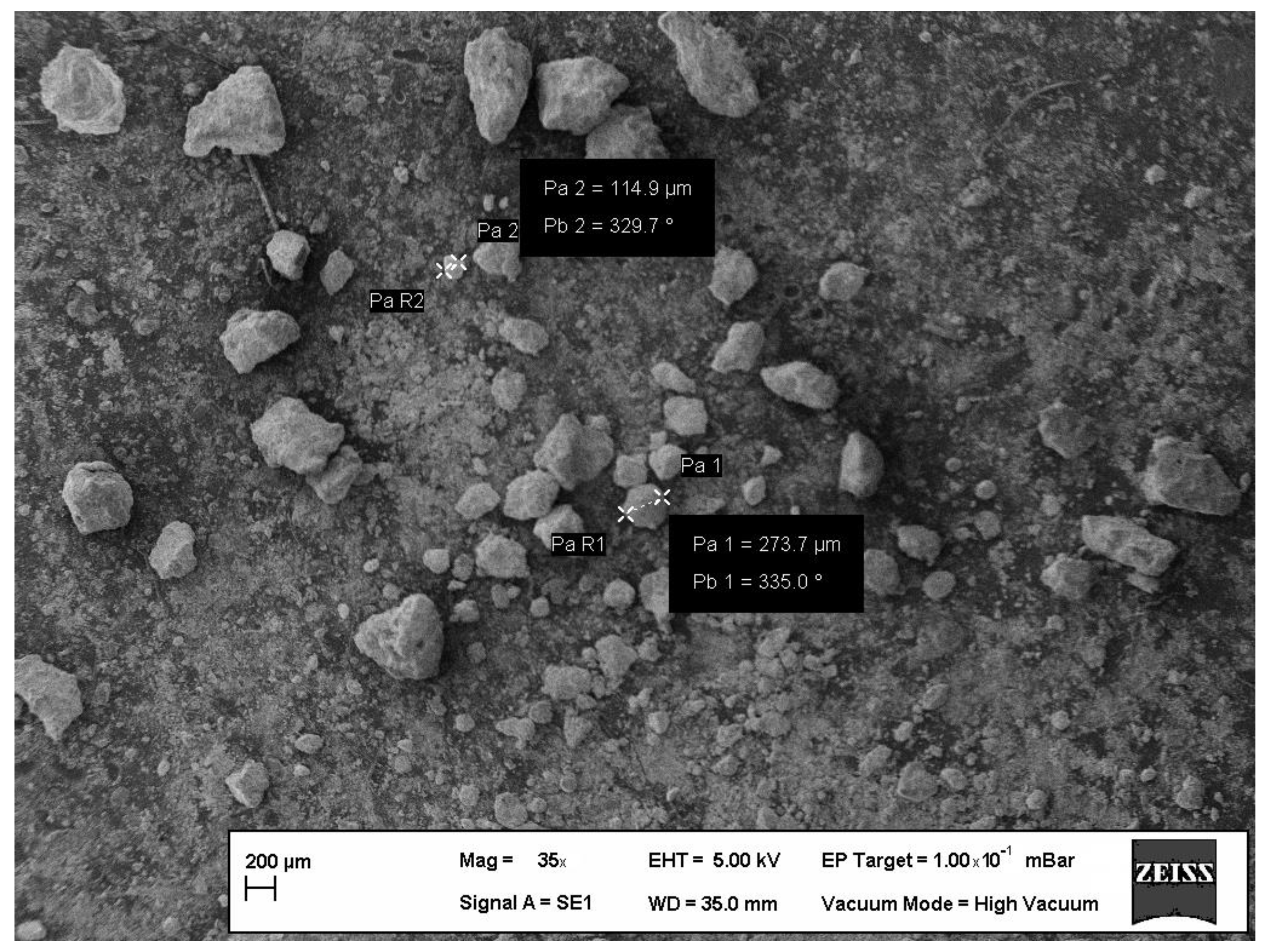 Sustainability 13 09454 g008