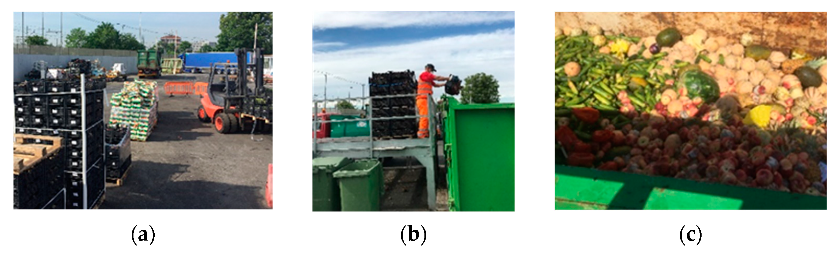 Sustainability 13 09478 g001 550