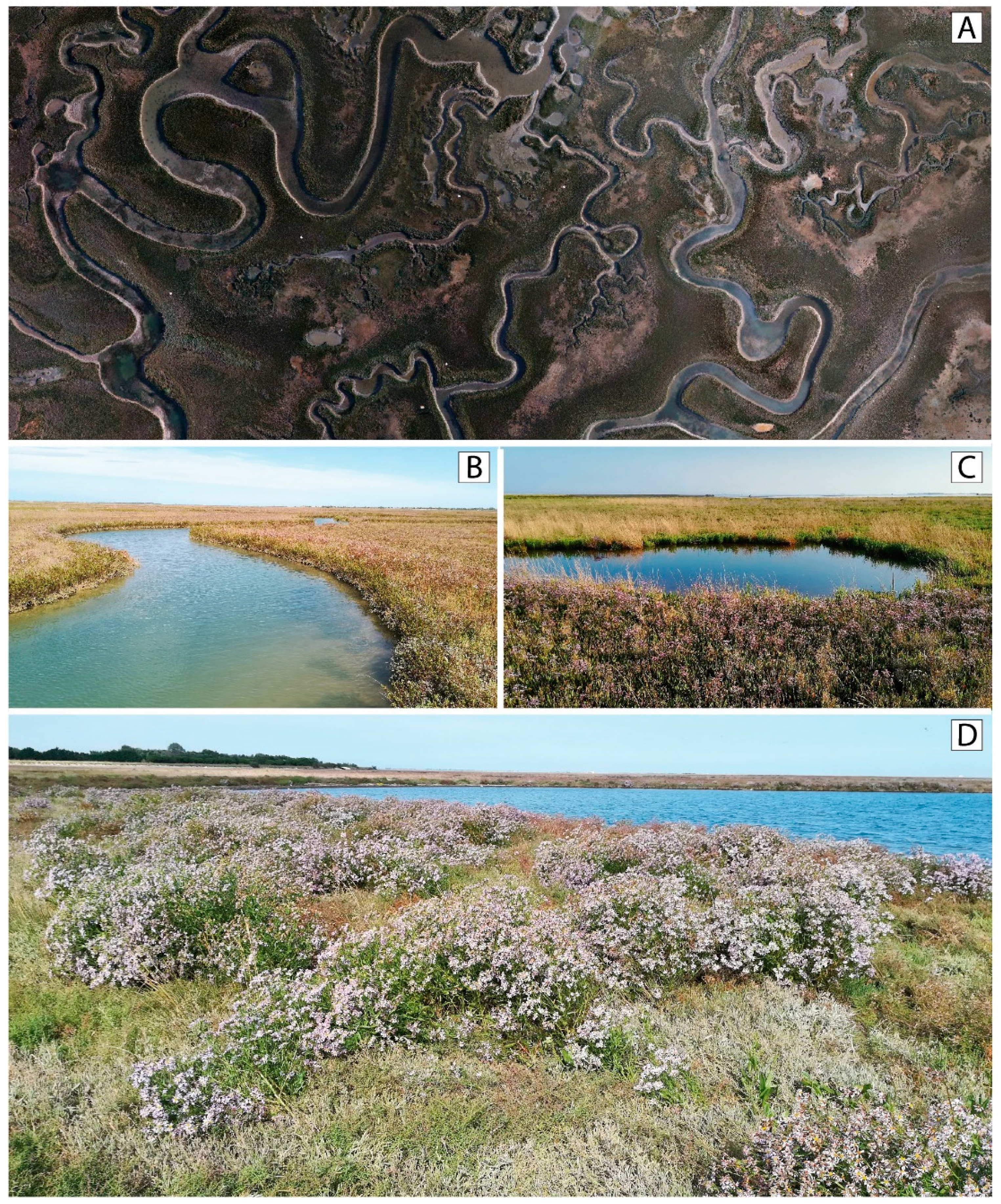 Sustainability 13 09485 g002 Sustainability 13 09485 g002