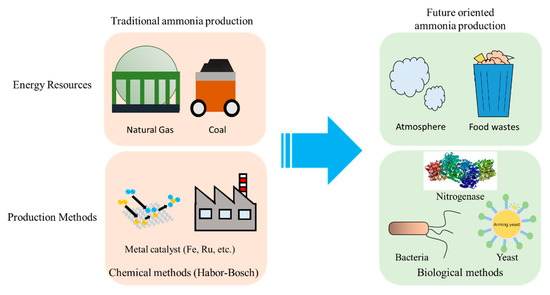 2025 お歳暮【公式】 - 人気ブランド Sustainable Biological Ammonia Production towards a Carbon K-POP・アジア