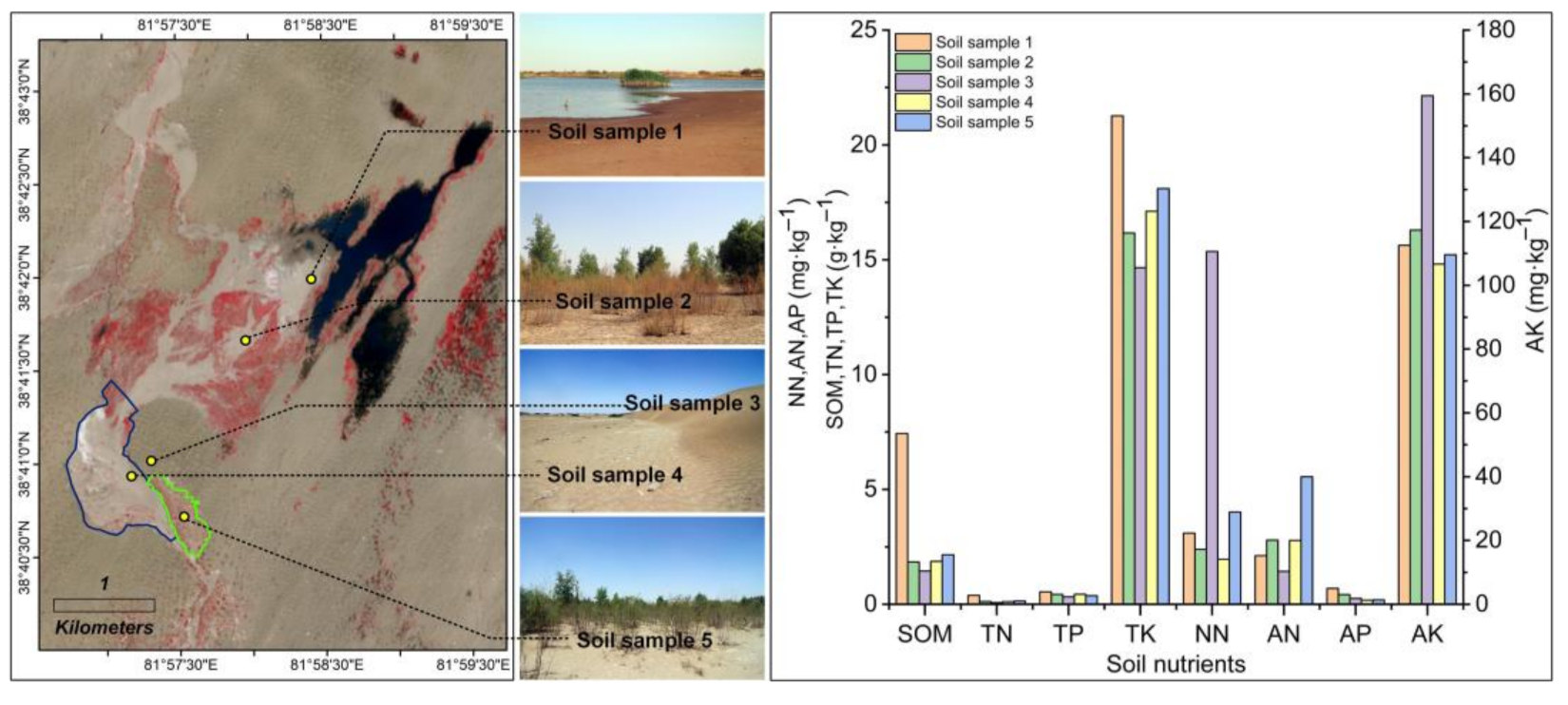 Sustainability 13 09522 g012 550