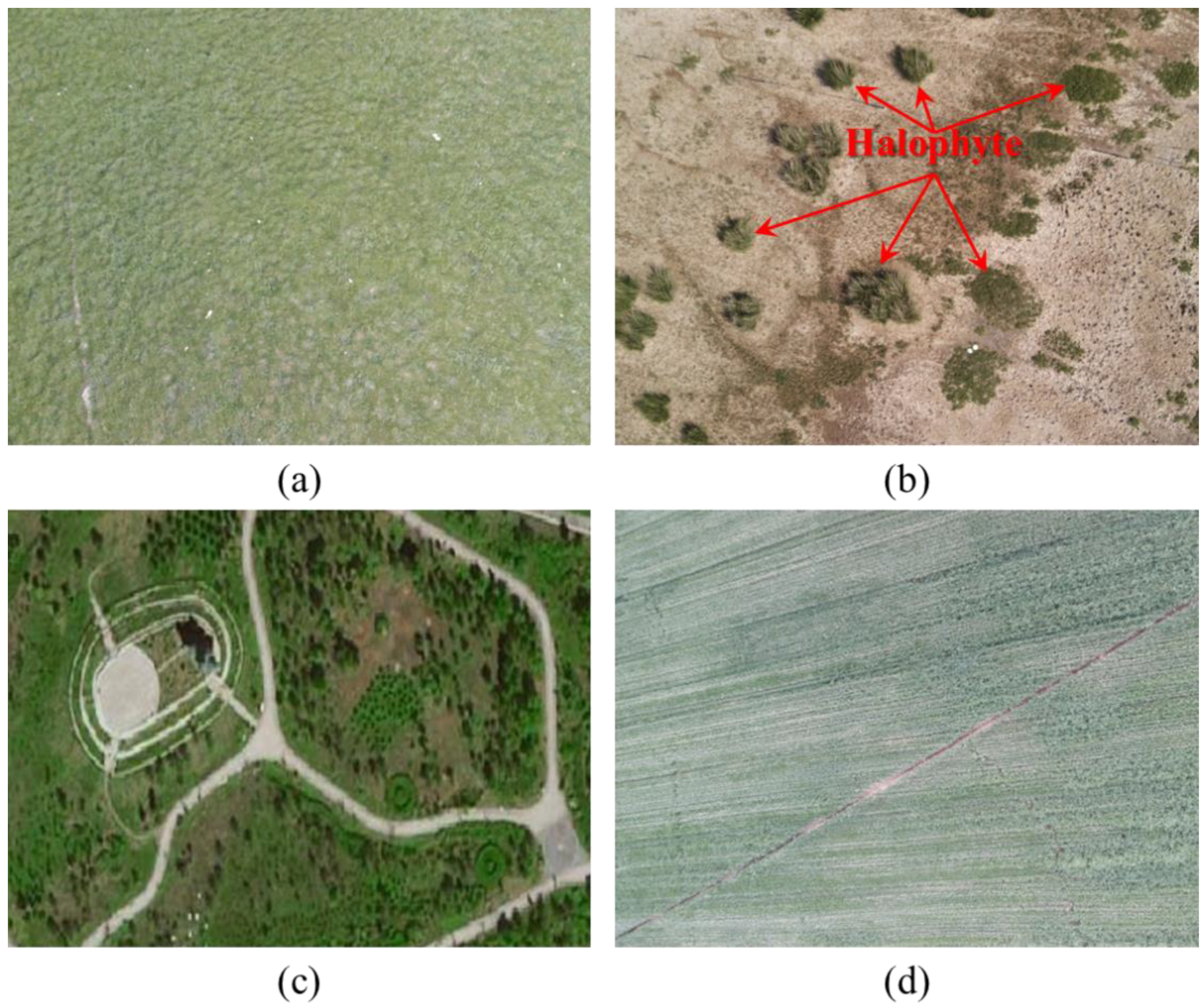 Sustainability 13 09541 g008