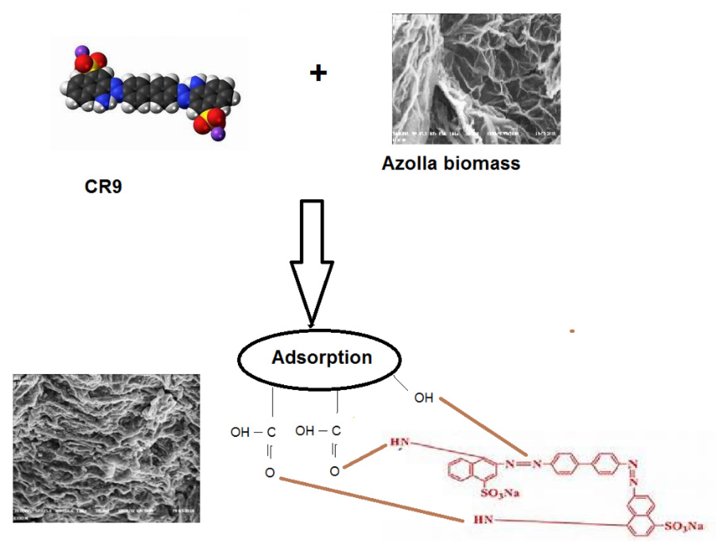Sustainability 13 09588 g013