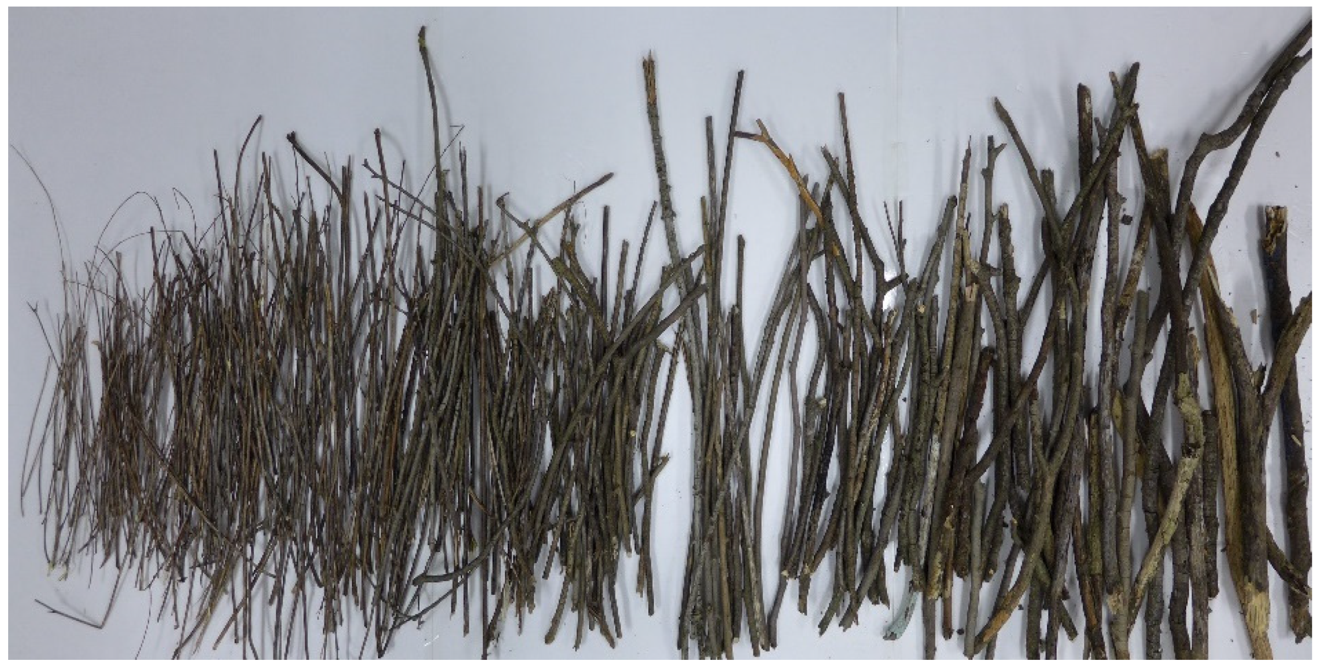 Sustainability 13 09595 g002