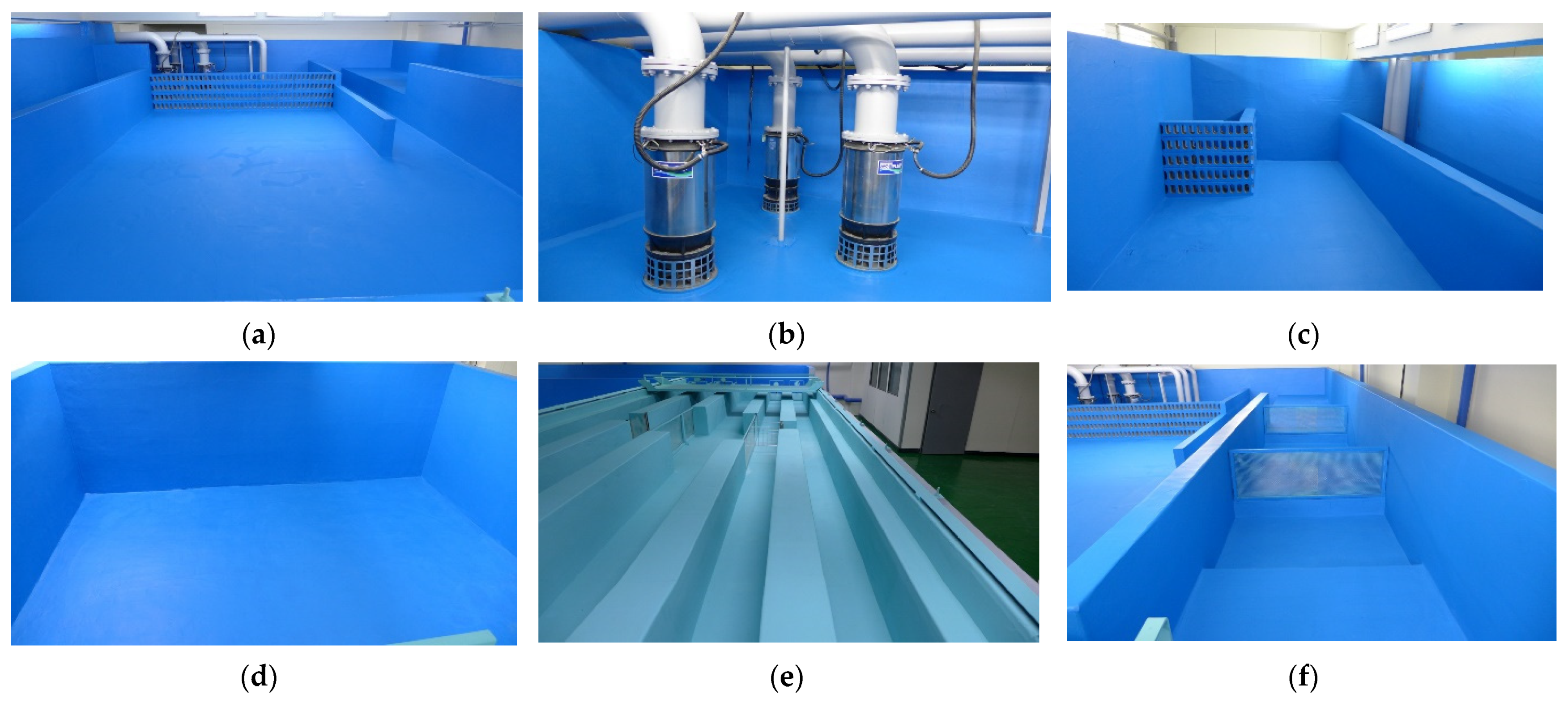 Sustainability 13 09595 g004