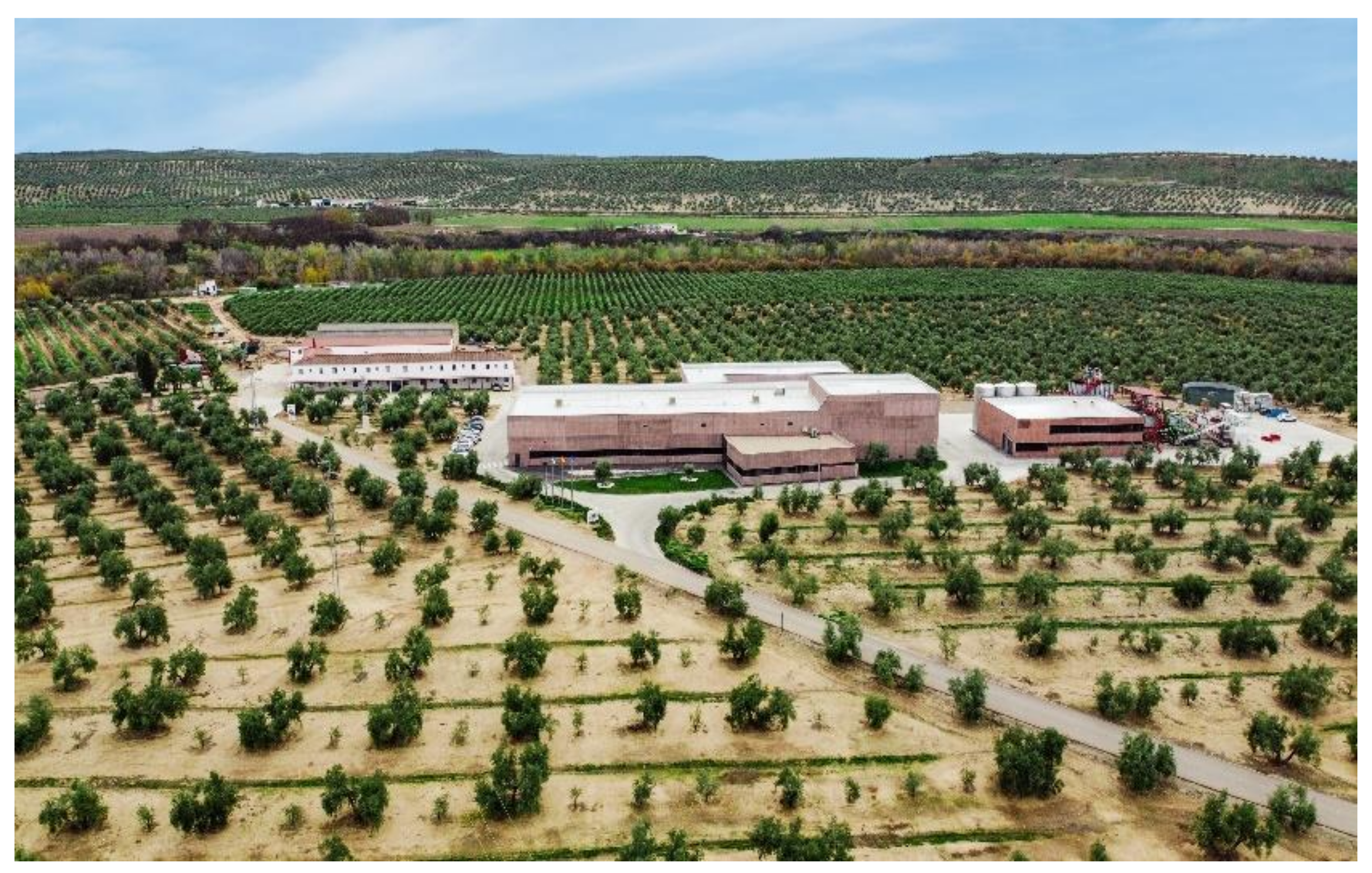 Sustainability 13 09614 g005