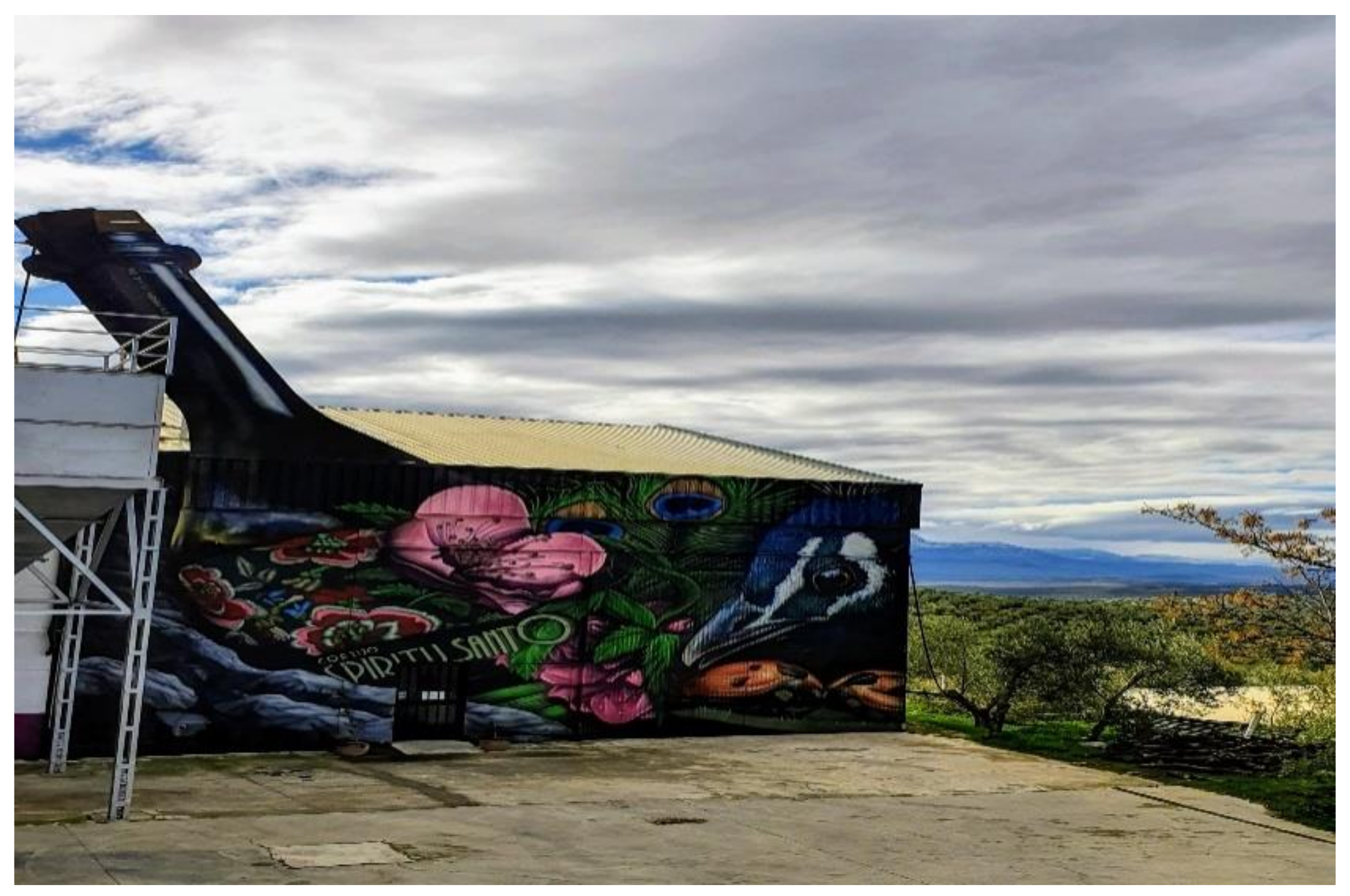 Sustainability 13 09614 g008