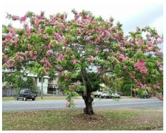 Sustainability 13 09617 i001 Sustainability 13 09617 i001