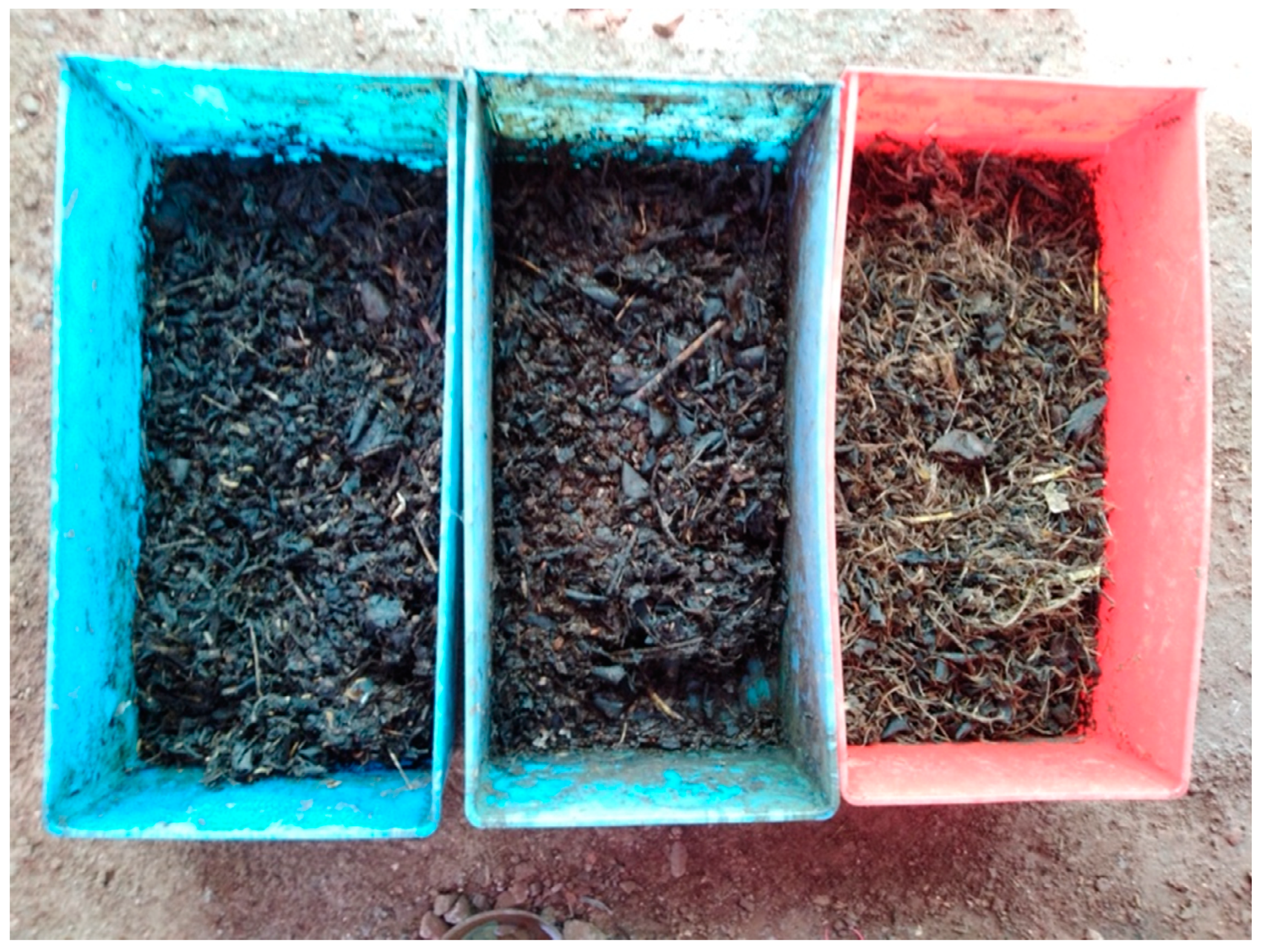 Sustainability 13 09722 g0a1 550