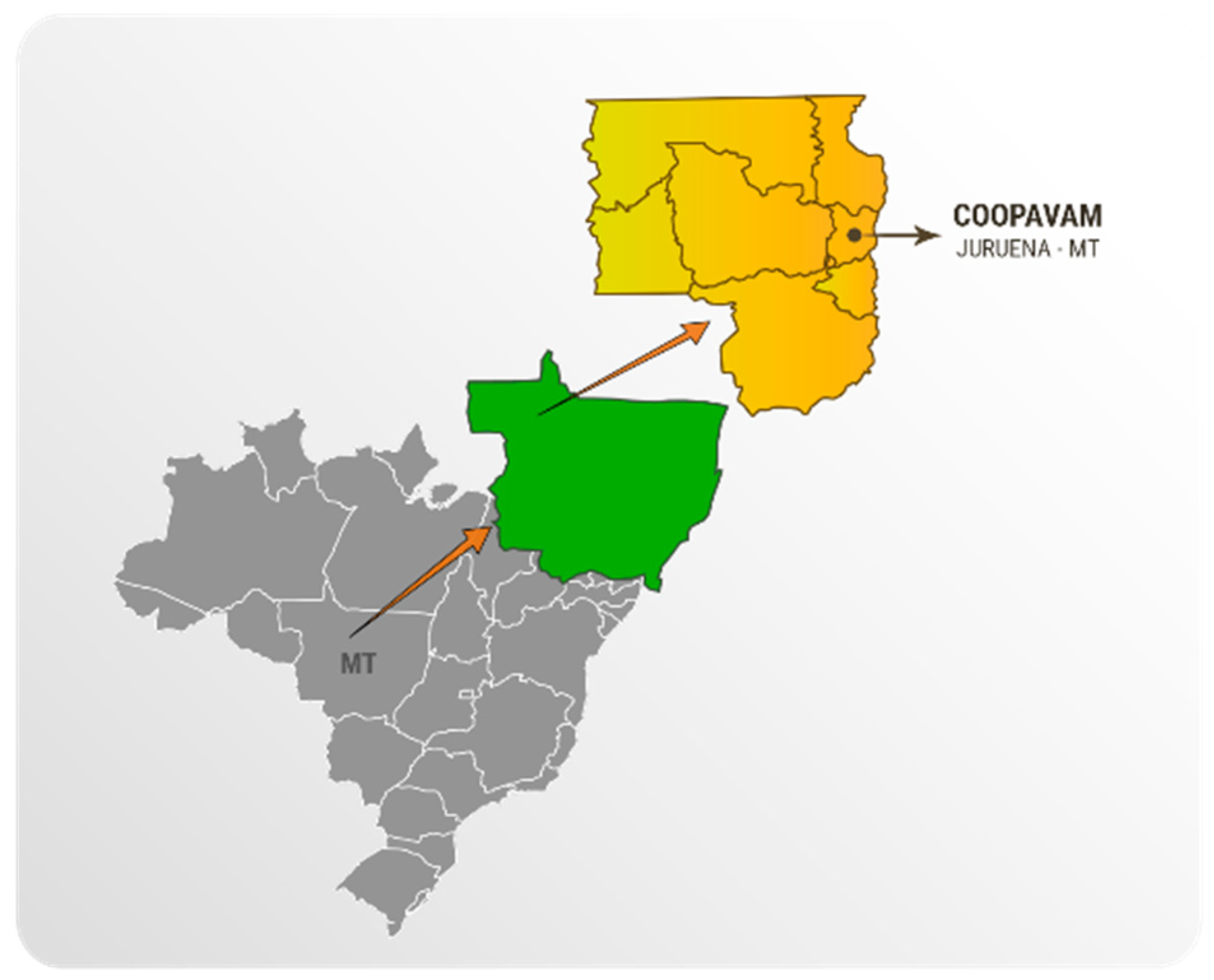 Sustainability 13 09777 g001