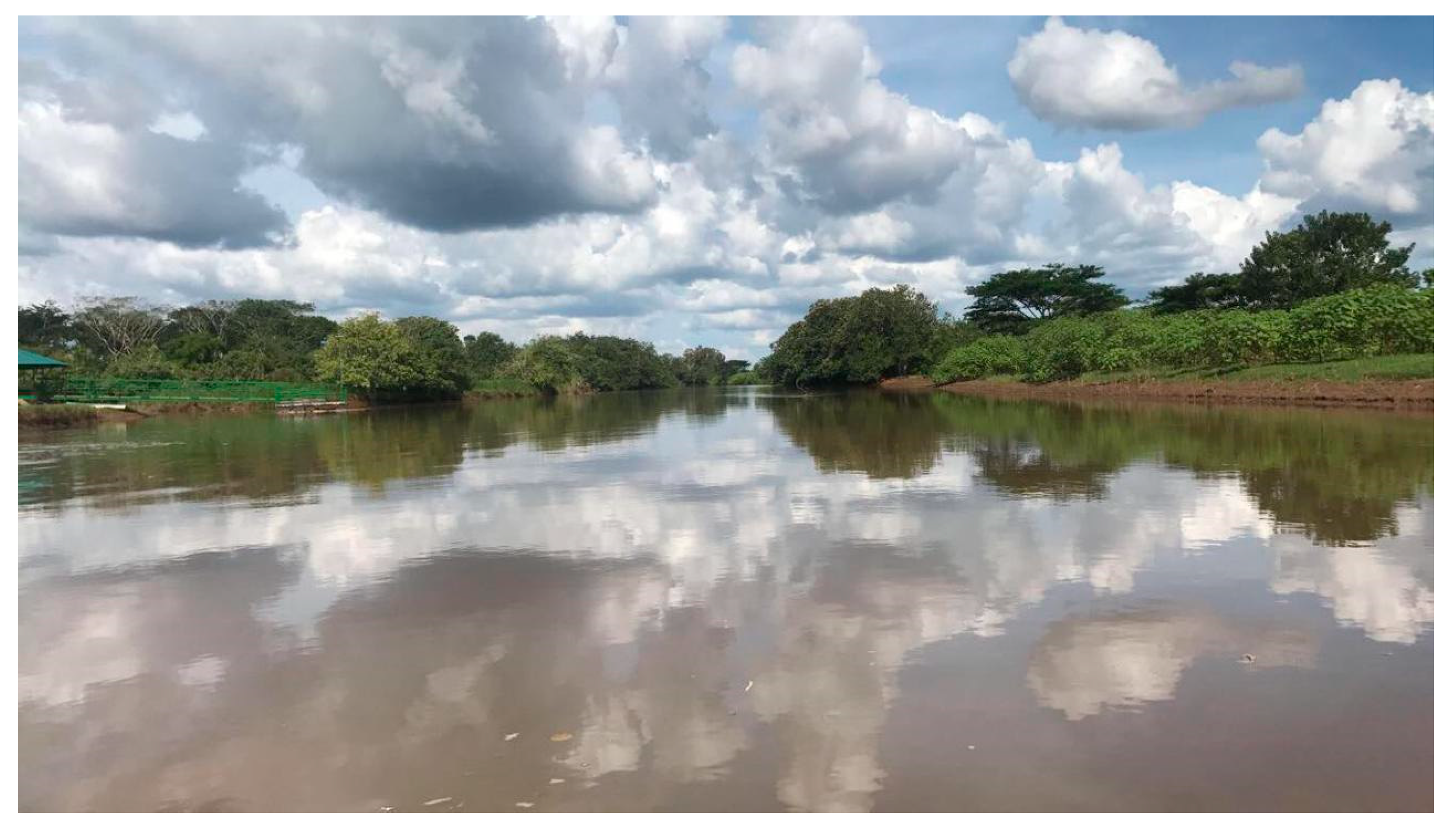 Sustainability 13 09818 g003 550