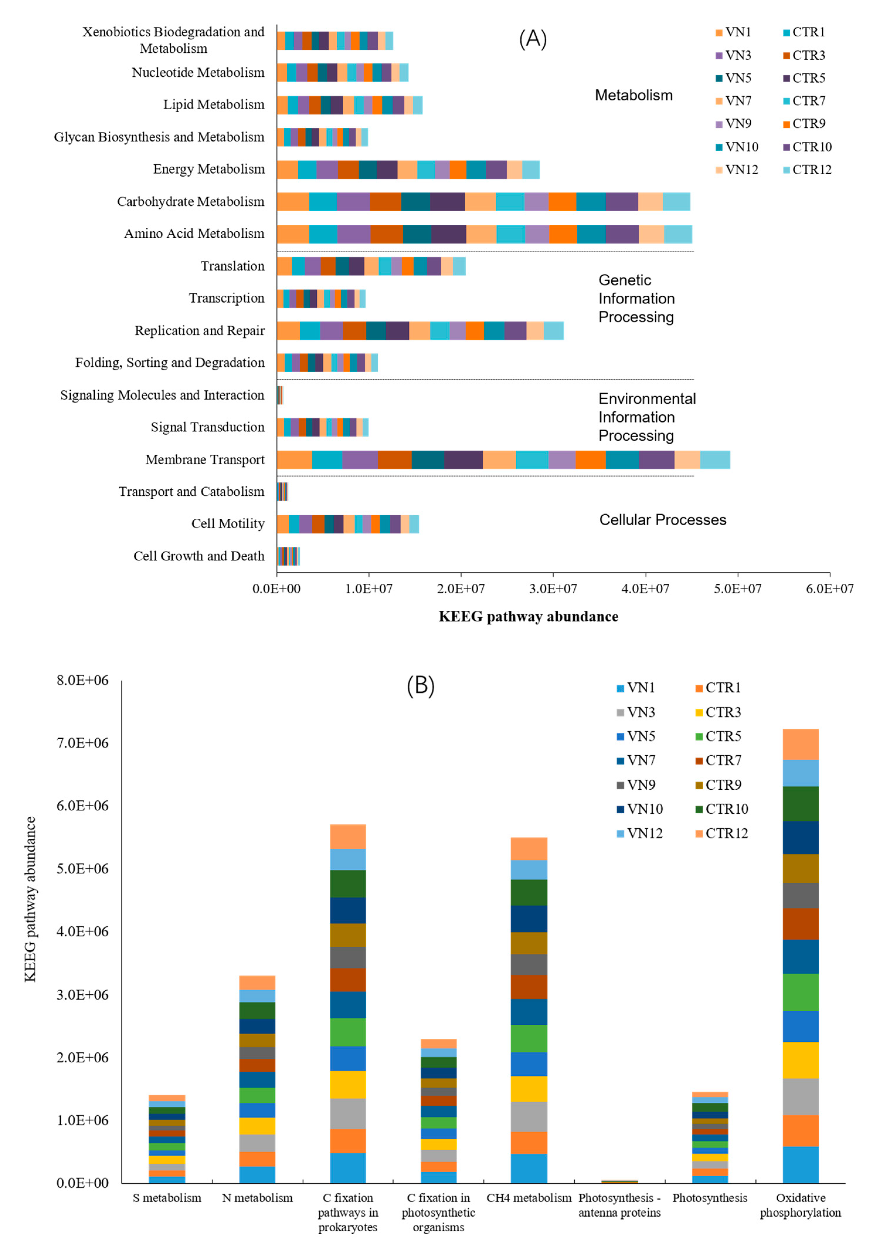 Sustainability 13 09833 g008