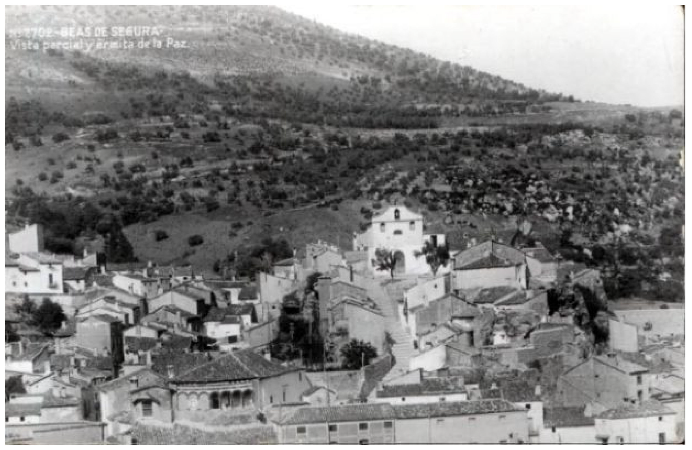 Sustainability 13 09834 g006